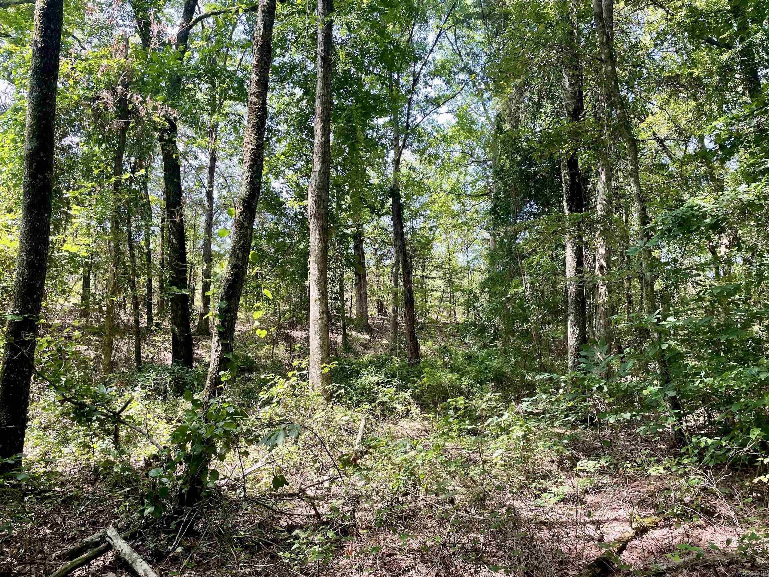 Not in Subdivision - Land