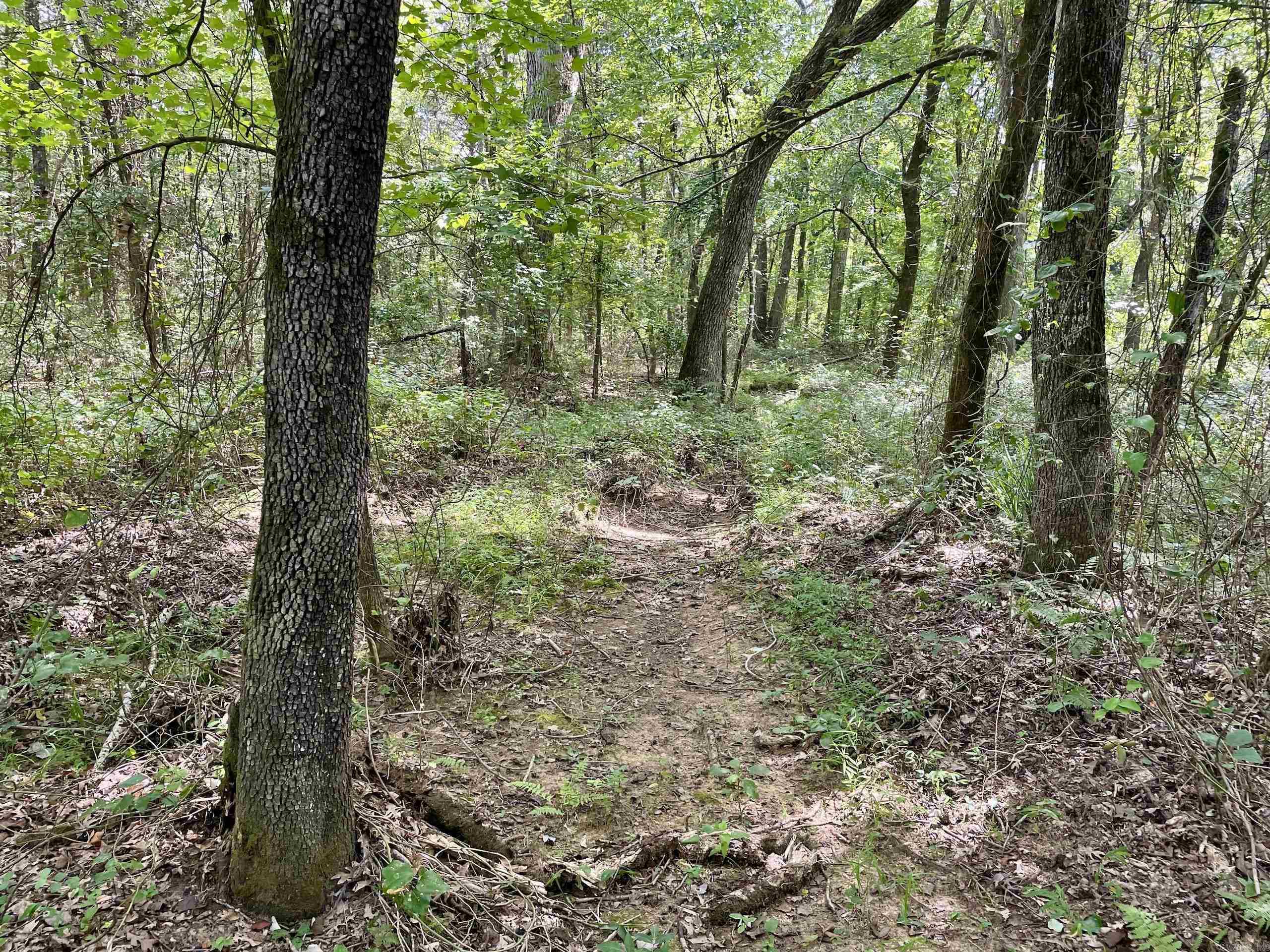 Not in Subdivision - Land