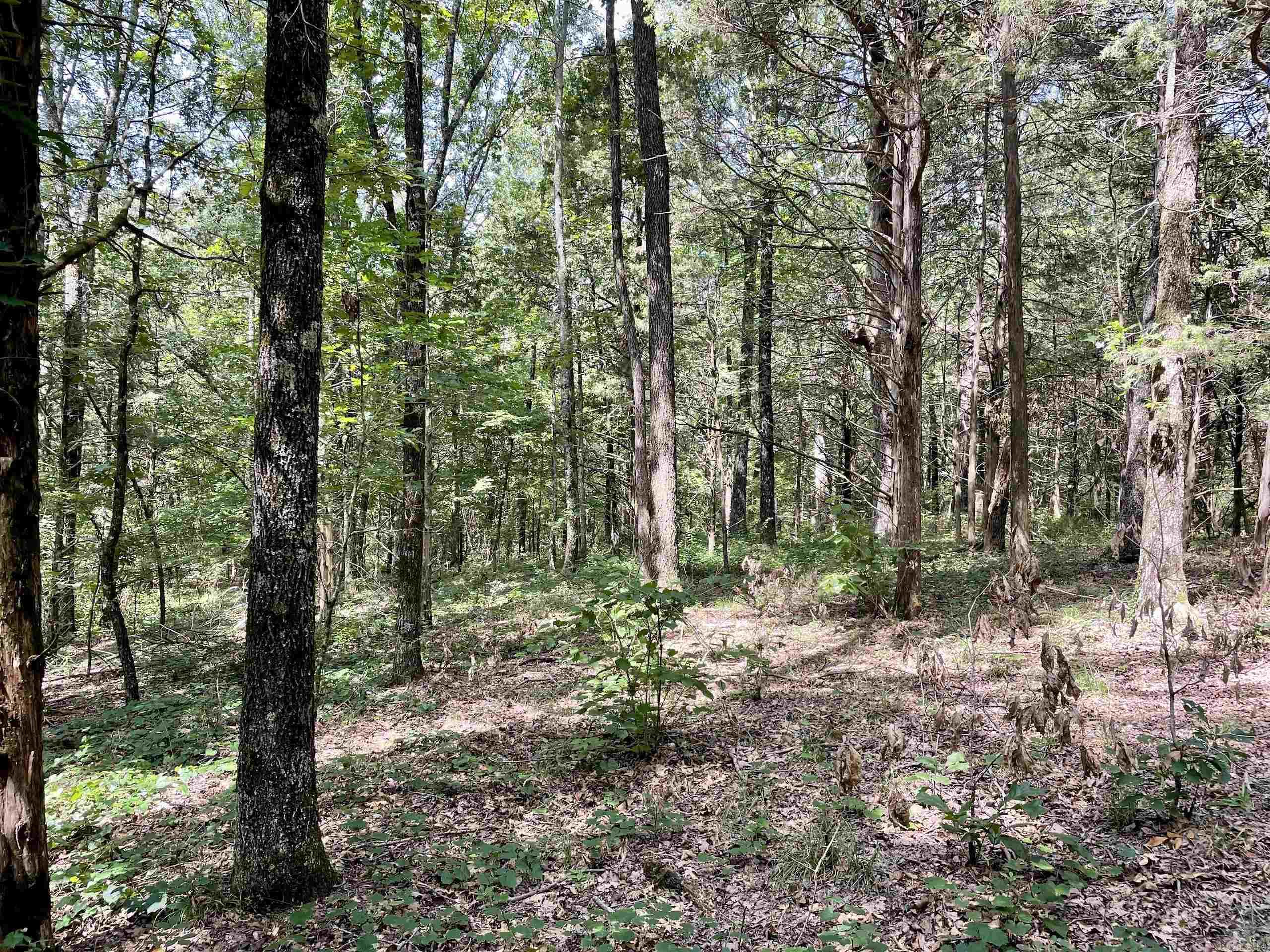 Not in Subdivision - Land