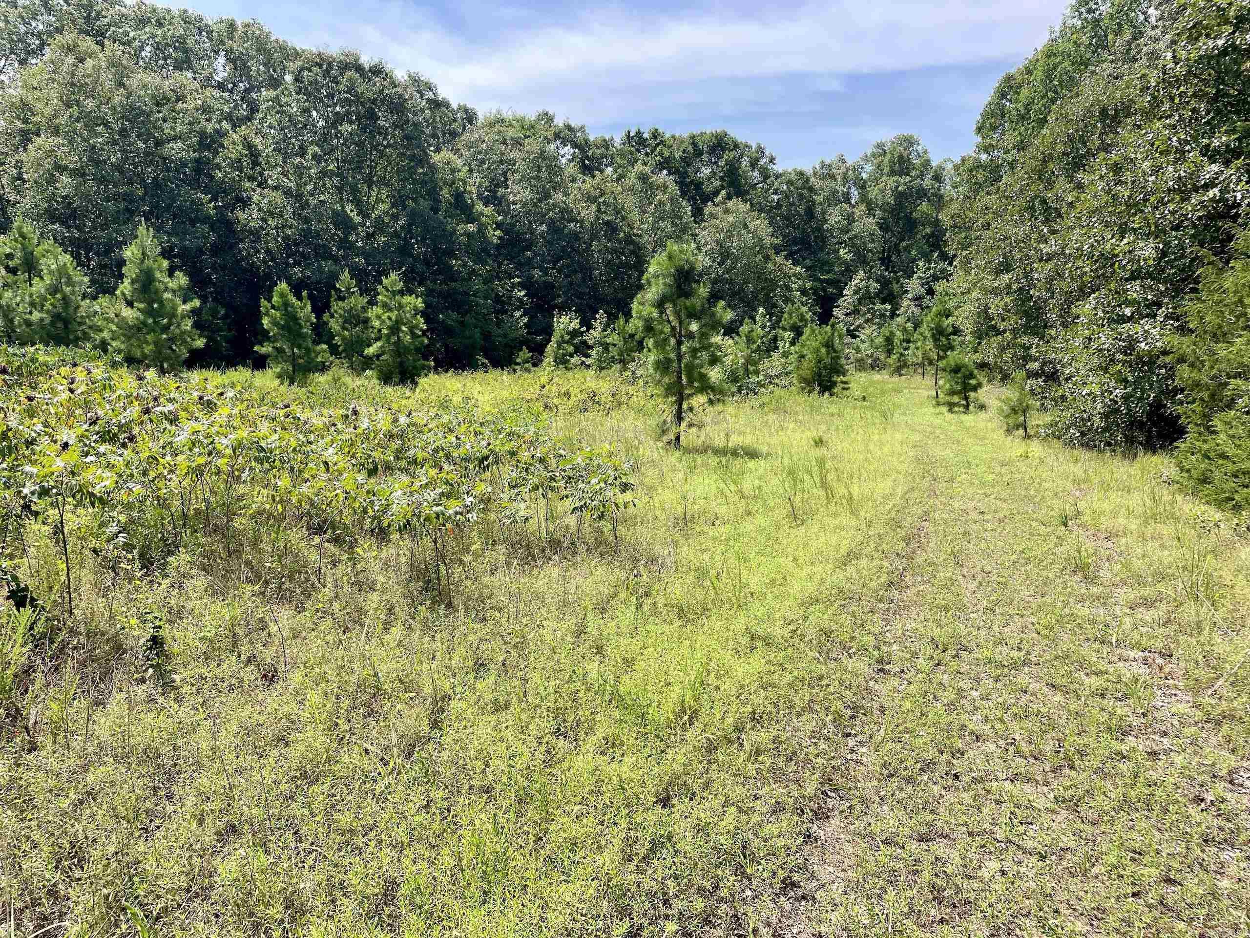 Not in Subdivision - Land