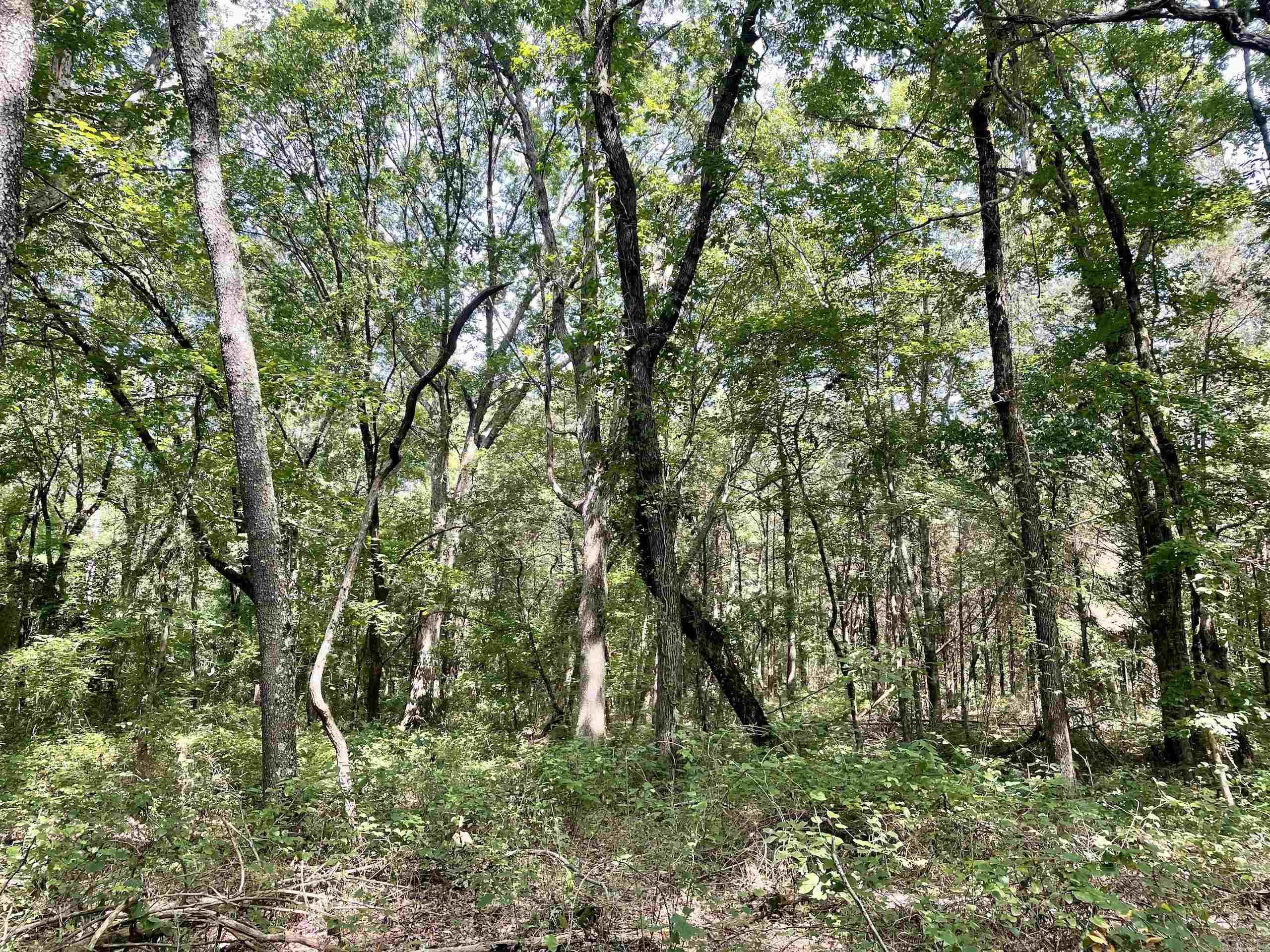 Not in Subdivision - Land