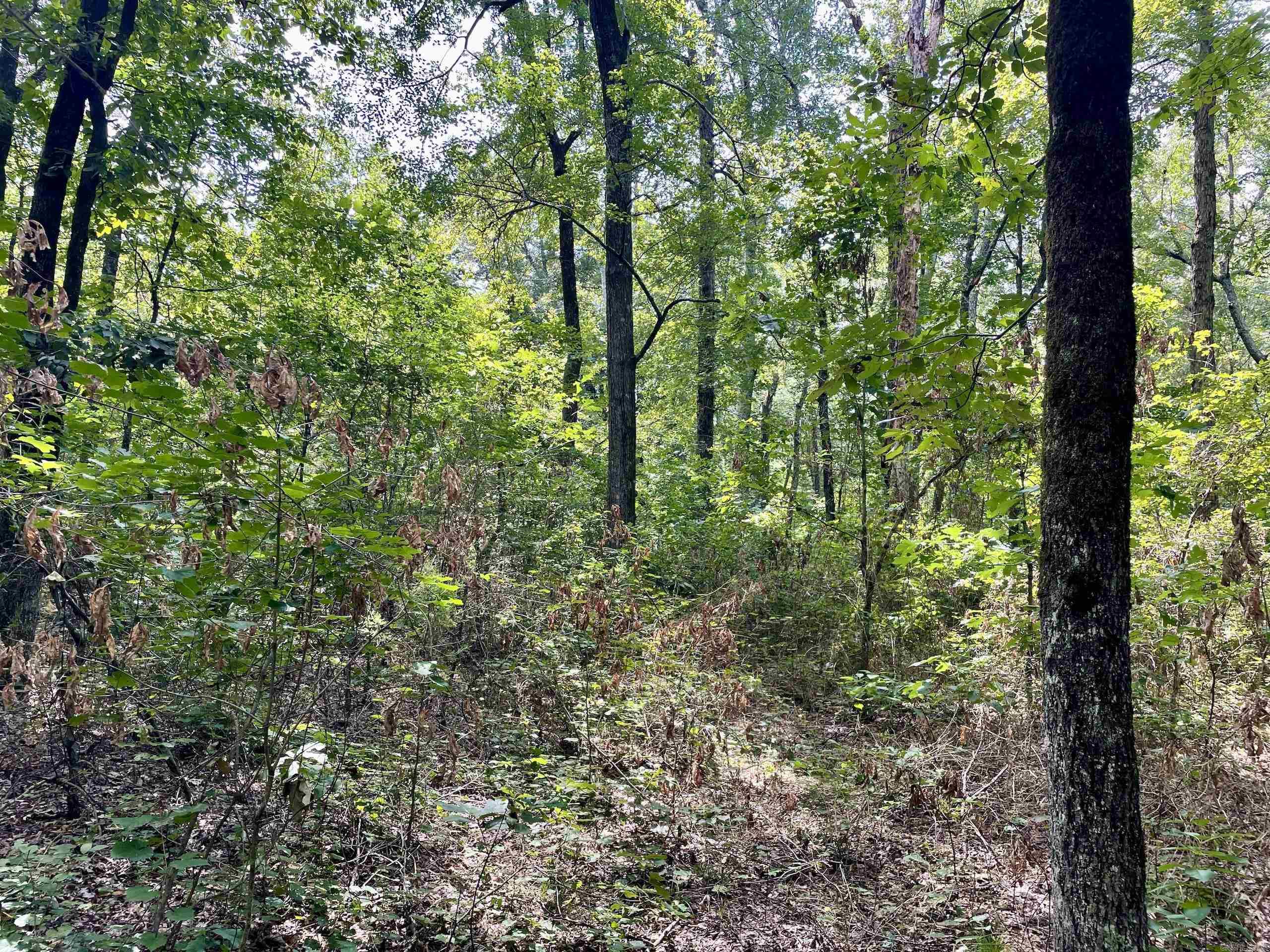 Not in Subdivision - Land