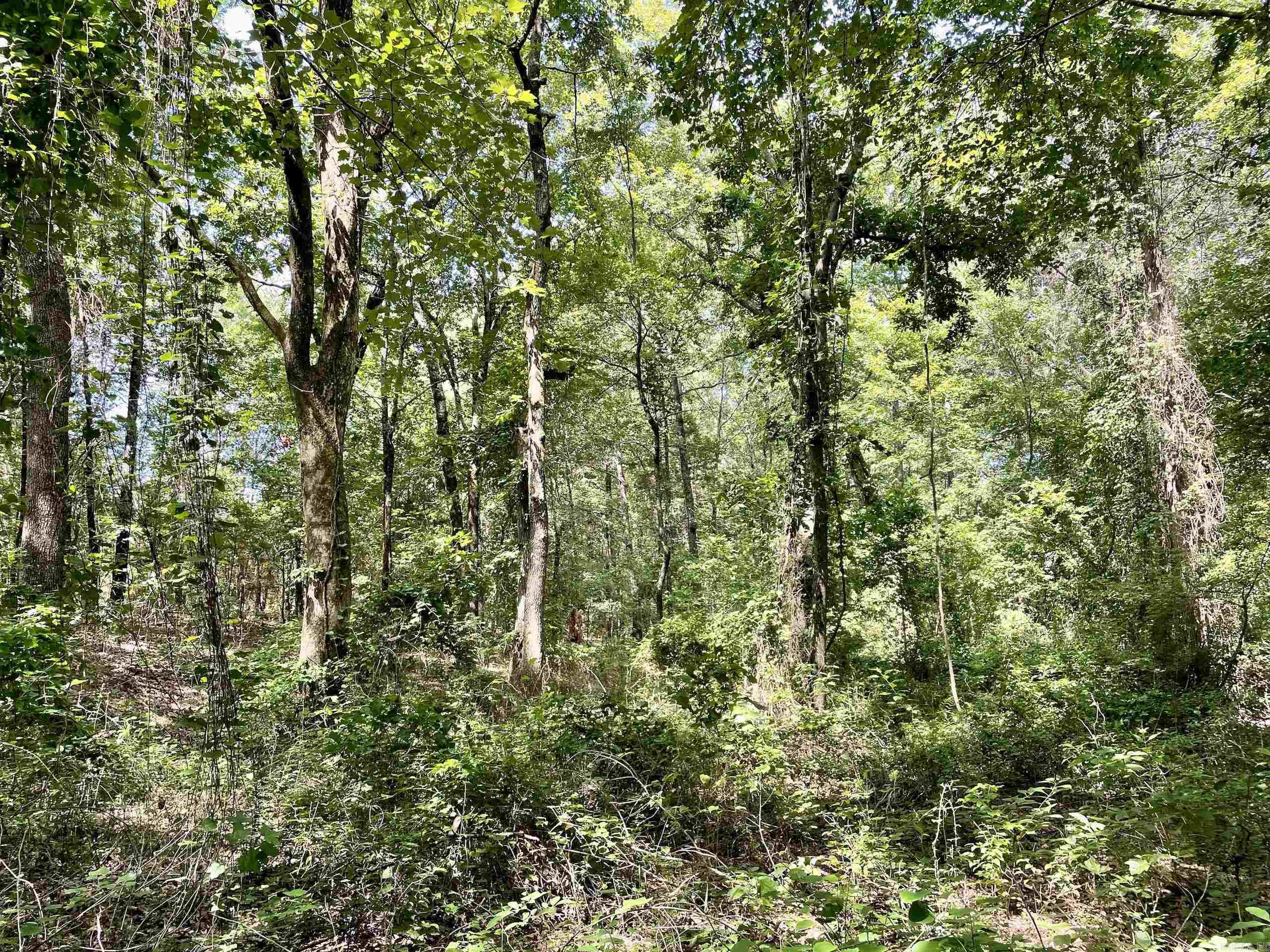 Not in Subdivision - Land