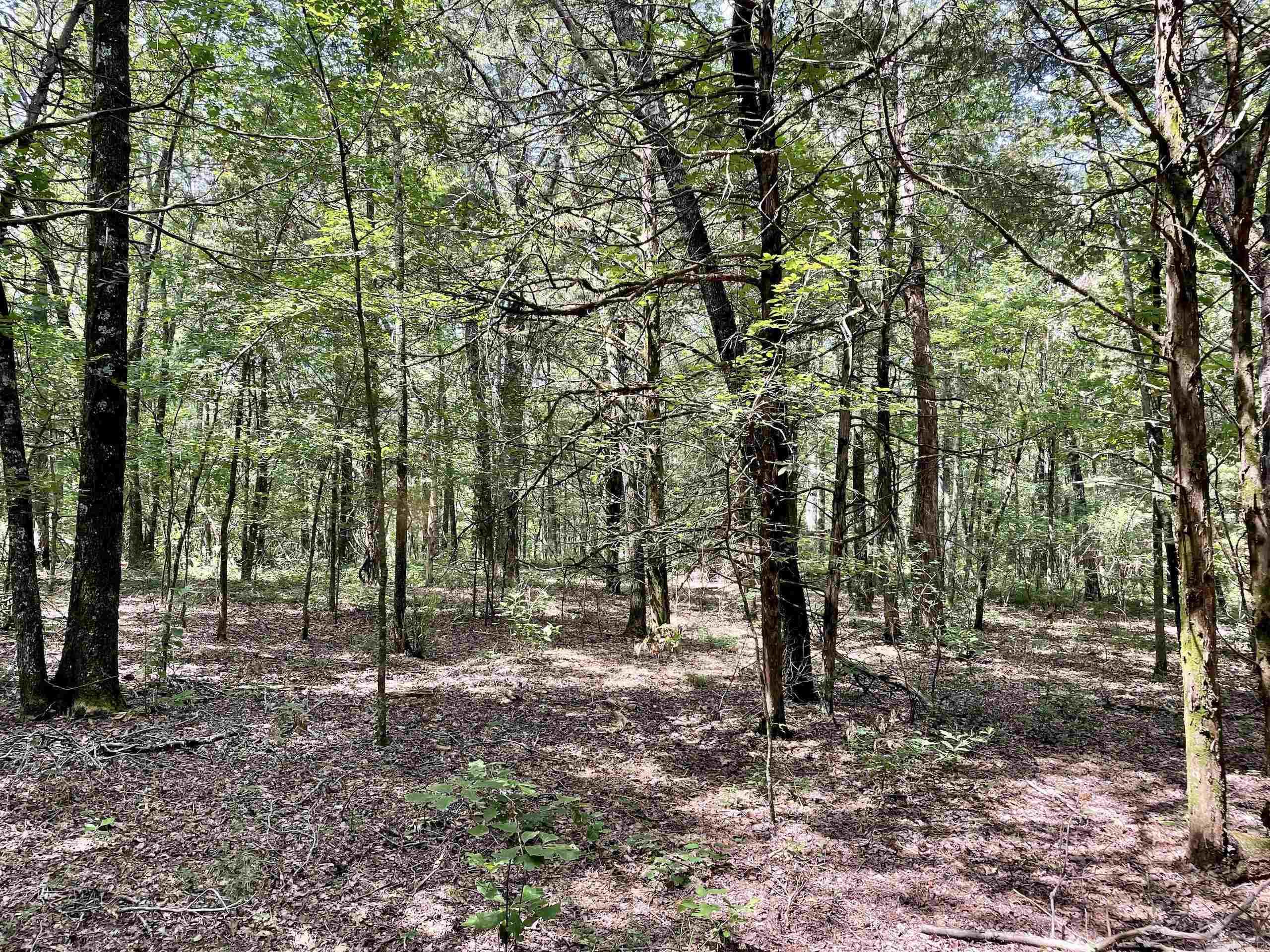 Not in Subdivision - Land