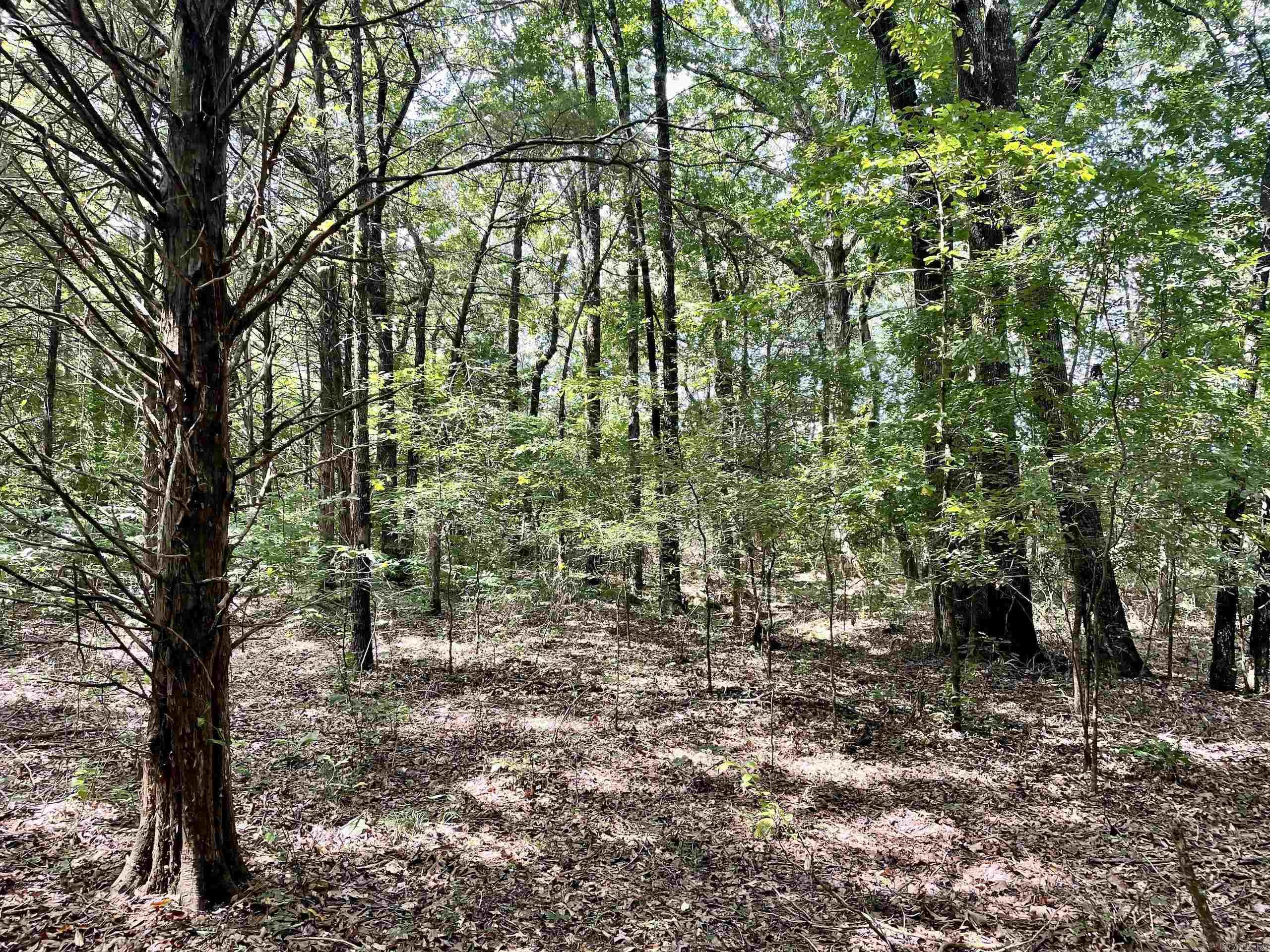 Not in Subdivision - Land