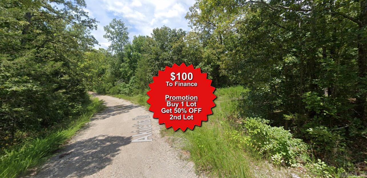 Buy one lot and get 50% off an additional lot! Owner-finance for easy terms. Cash buyers can pay by debit or credit card as well. Nice lot to develop or hold for future value. Public water and electric are available to run to property and will need septic. Owner/agent. No mobiles allowed. 300-2500 minimum build size on any other type of home, depending on subdivision. Finance is $100 down and 10 months at $99 and closing costs are included. Lots marked with red banner are part of promotion. No limit on lots. Buyer responsible for any/all taxes and lots sold "as-is". Quit claim deed conveys. Parcel ID# 270-16370-000