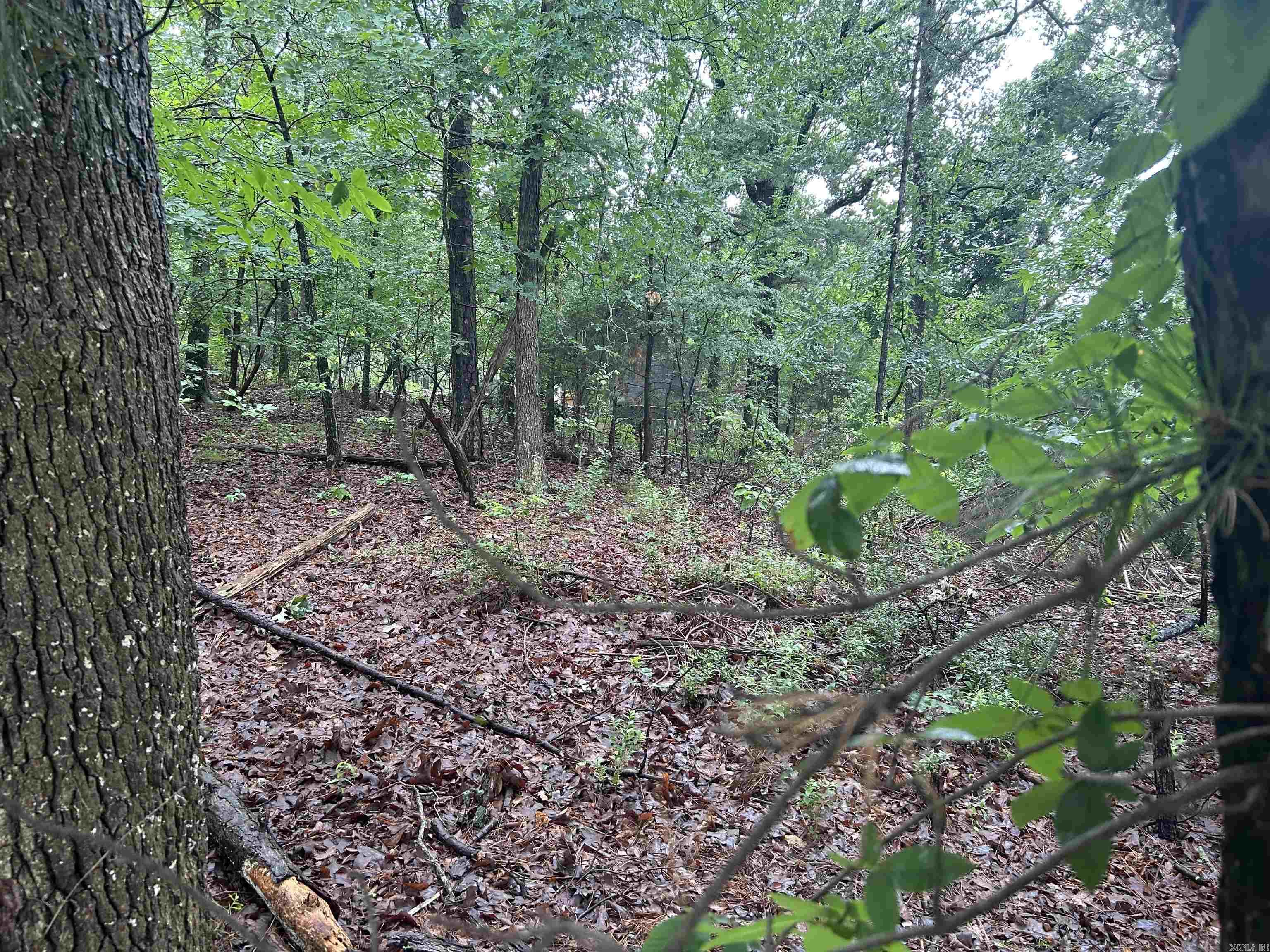 Riverland Heights - Land