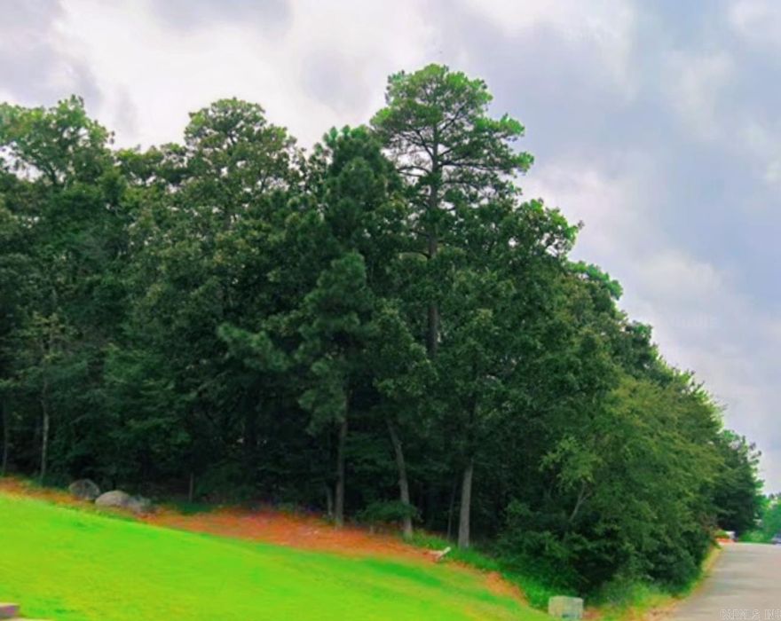 Create your dream home in the desirable Maumelle Heights Subdivision! This rare plot,  one of the last available, lets you choose your builder and enjoy underground utilities. Build a minimum 2000 sqft home and be part of a lively community with 30 miles of walking trails, lakes, parks and more! Agent can help connect you with builder if needed.