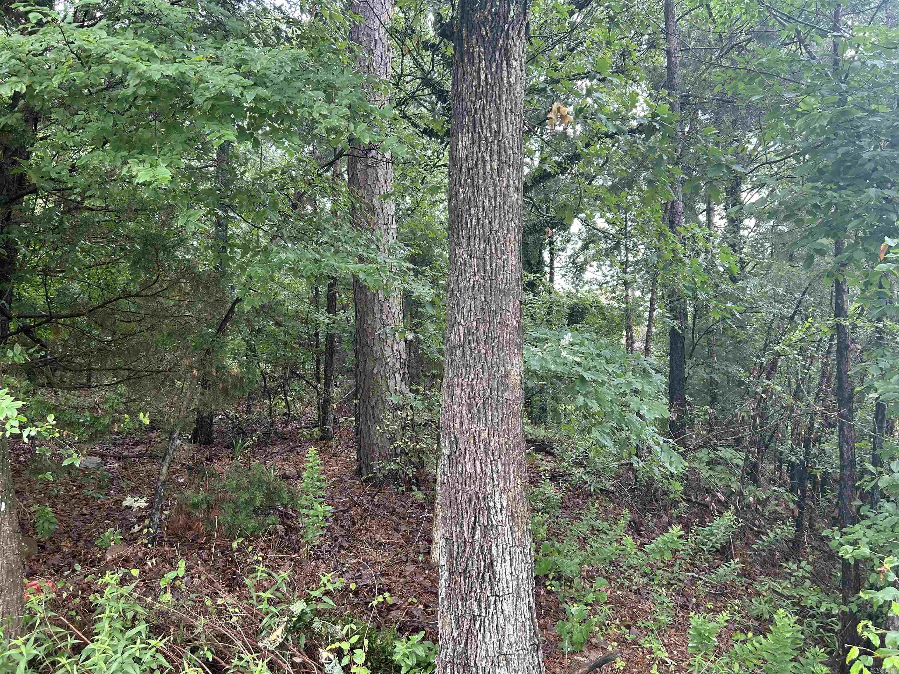 Riverland Heights - Land