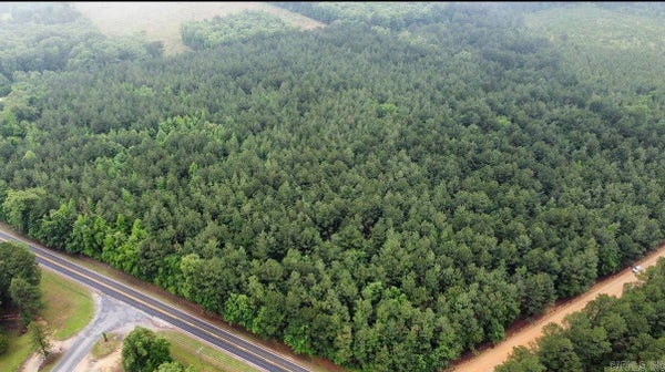 910 HIGHWAY 8 N, WARREN, AR 71671 - Image 2cc79d0bded5b05ea81b680ec66bd3f1/1415247998