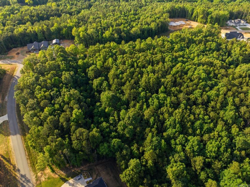 Build your dream home on Lot 21 in the beautiful Williams Creek Subdivision in Benton. This spacious 3.13-acre lot offers the perfect blend of privacy, peaceful surroundings, and convenient access to town. With plenty of room for a custom home, outdoor living, and more, this property is ideal for families looking to enjoy country-style living while staying close to schools, shopping, dining, and all that Benton has to offer.