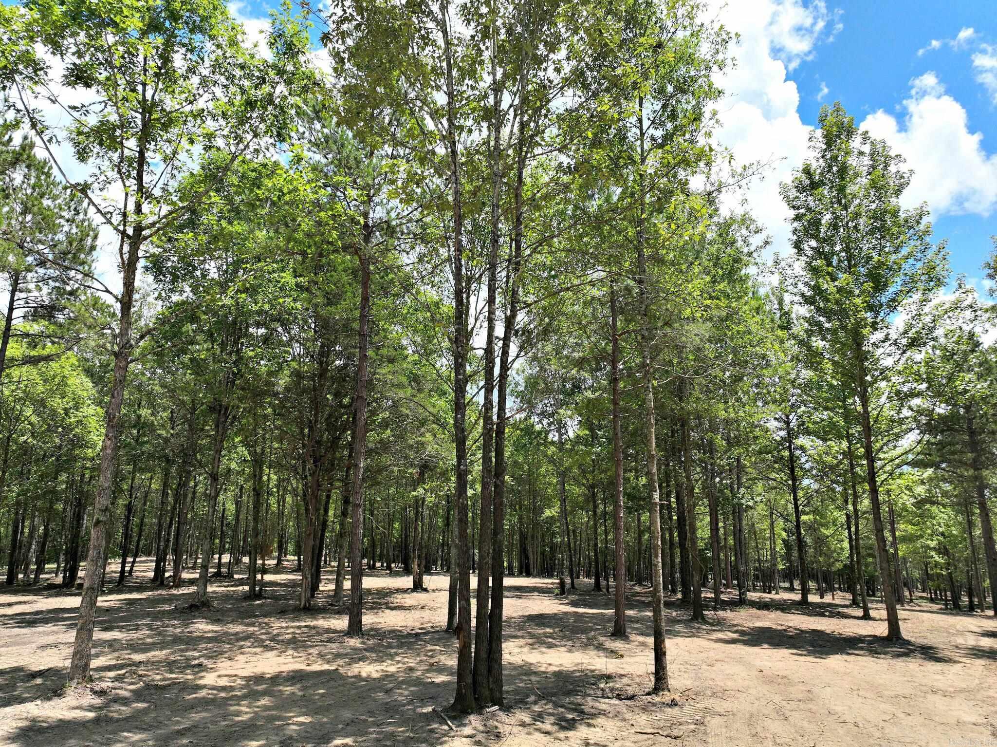 Alder Springs-Rocky - Land