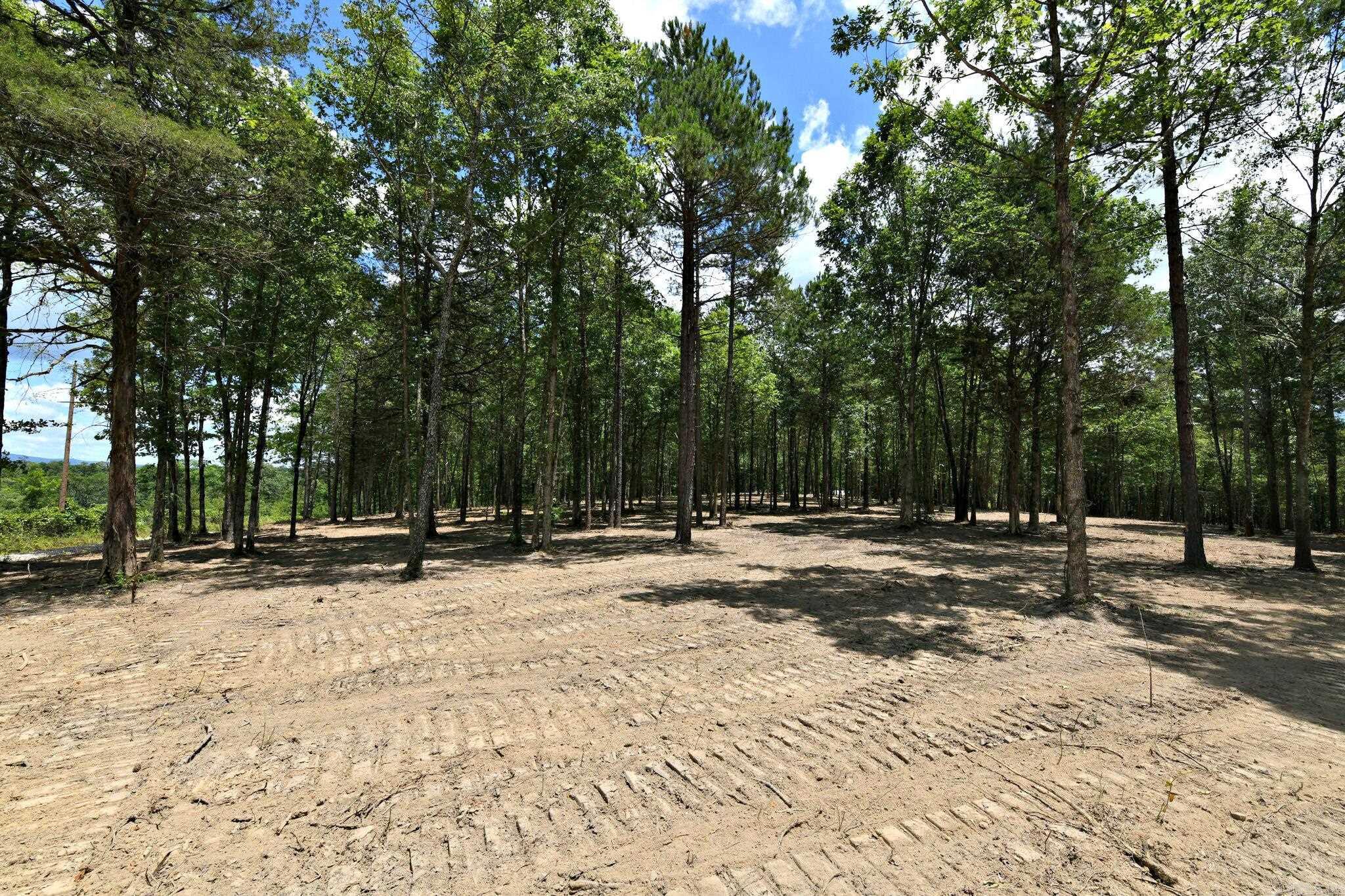 Alder Springs-Rocky - Land