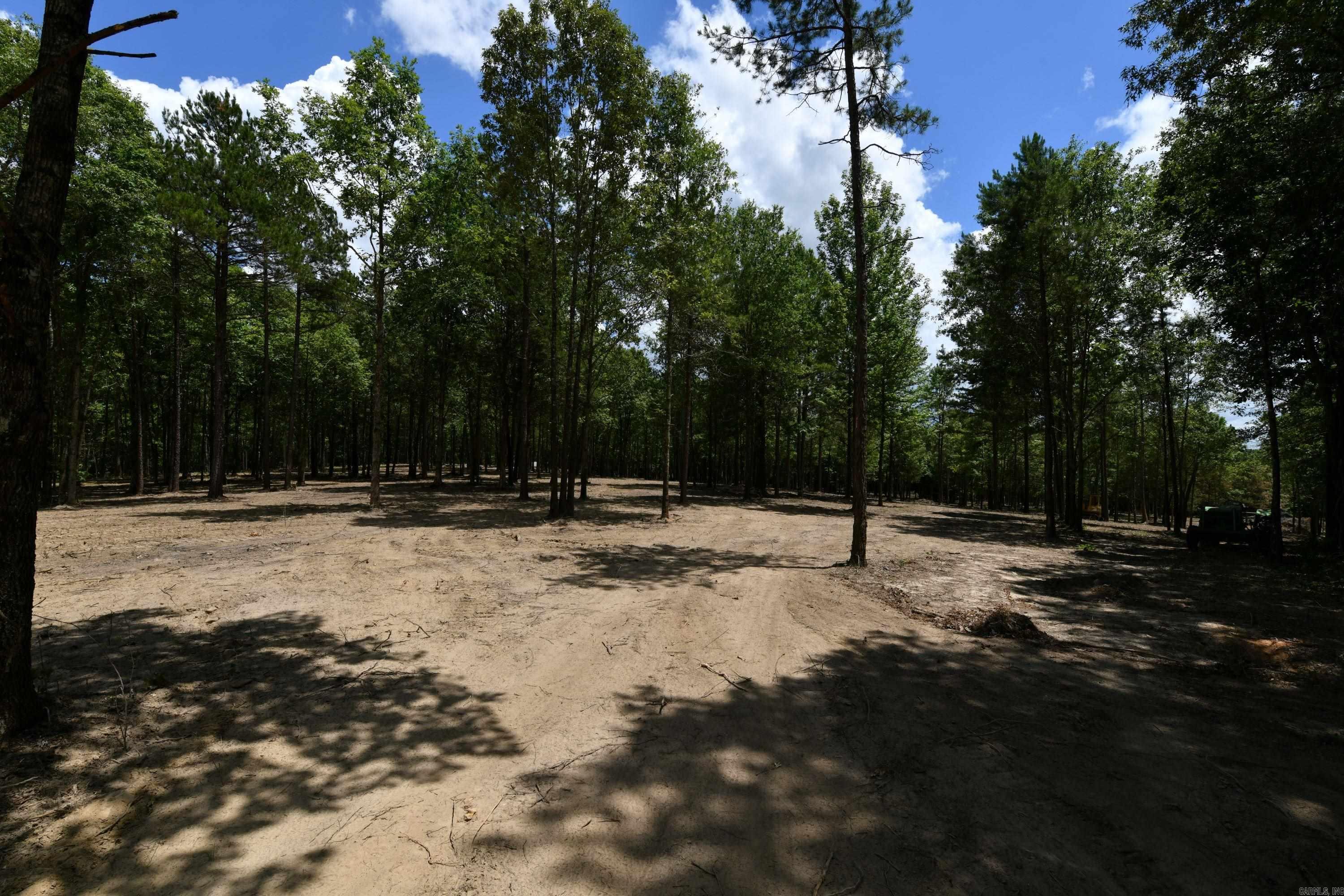 Alder Springs-Rocky - Land