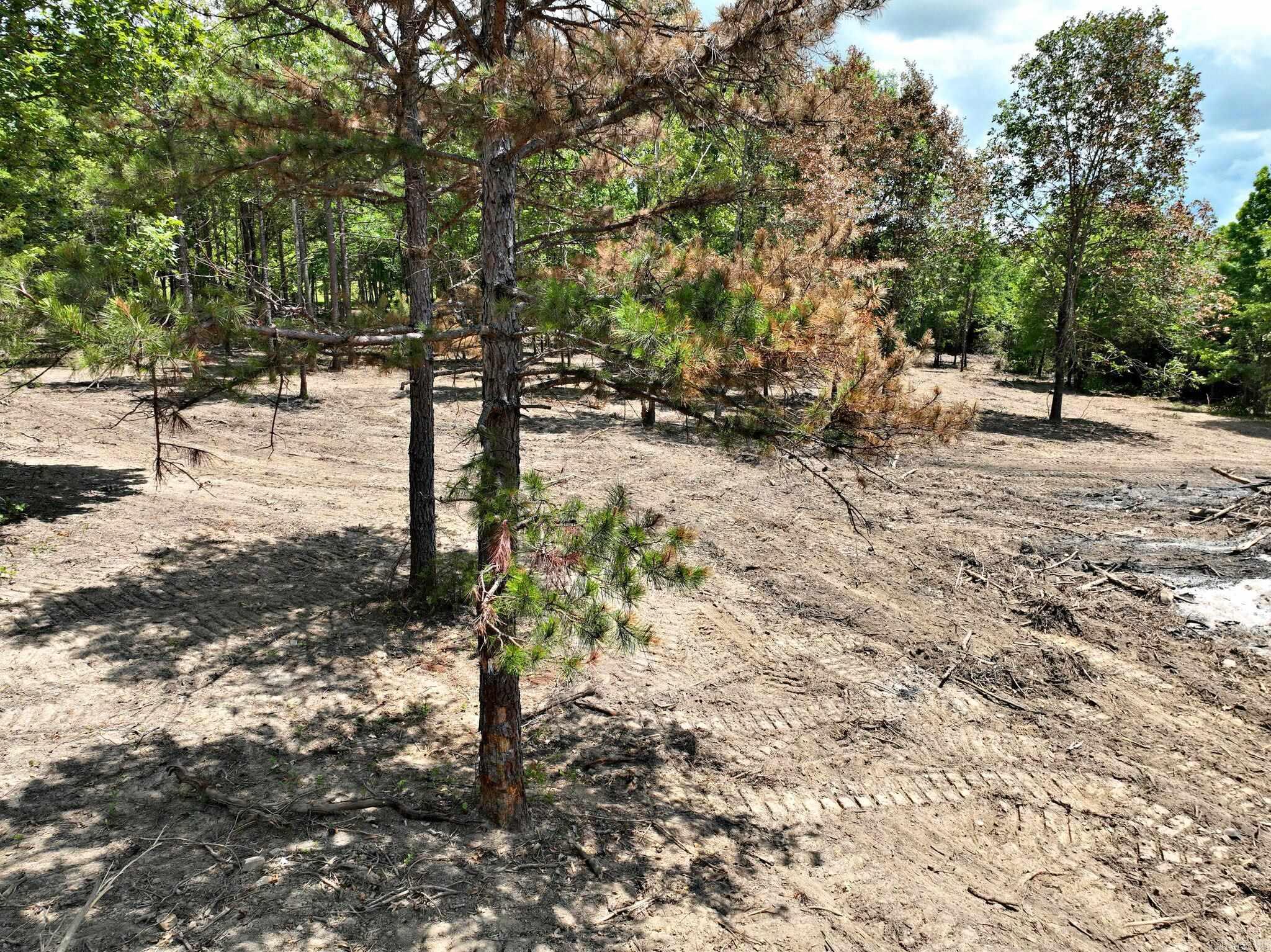 Alder Springs-Rocky - Land