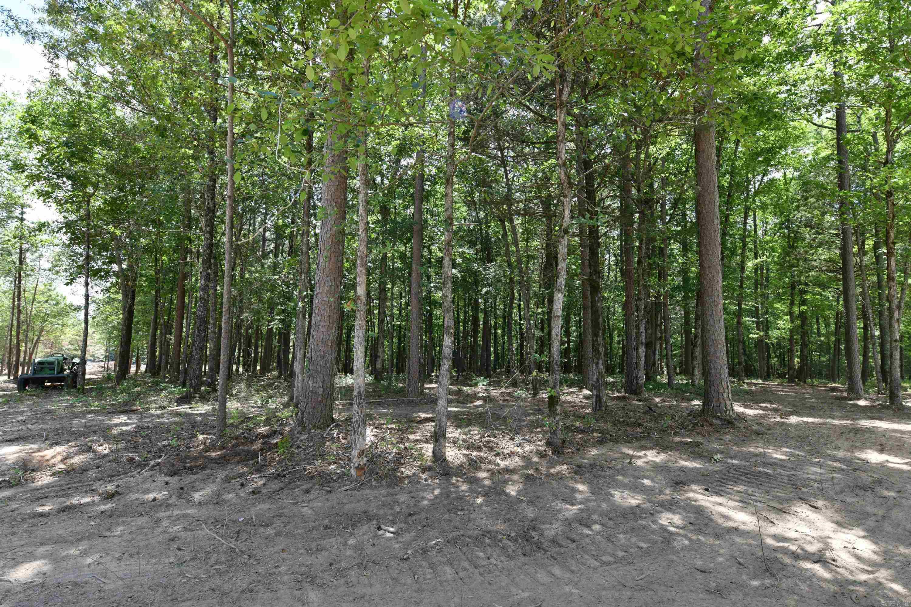 Alder Springs-Rocky - Land