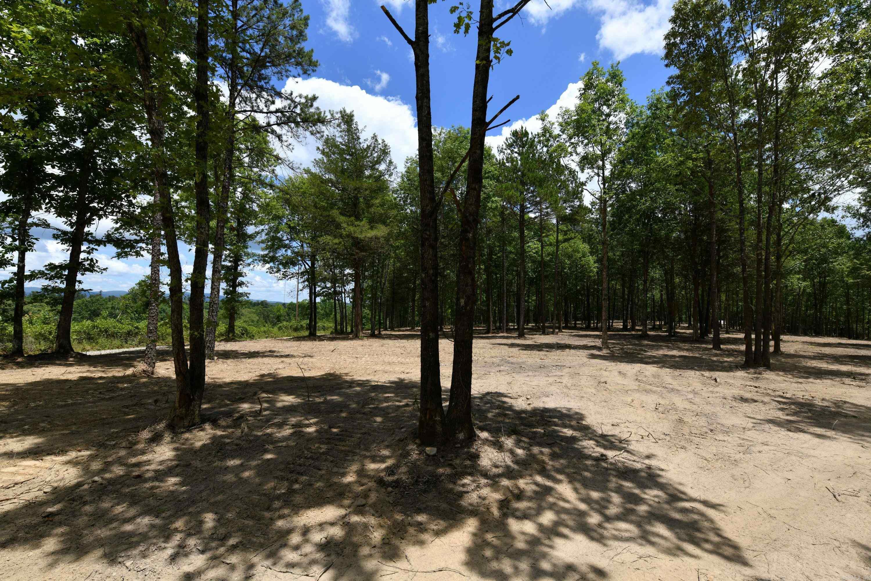 Alder Springs-Rocky - Land