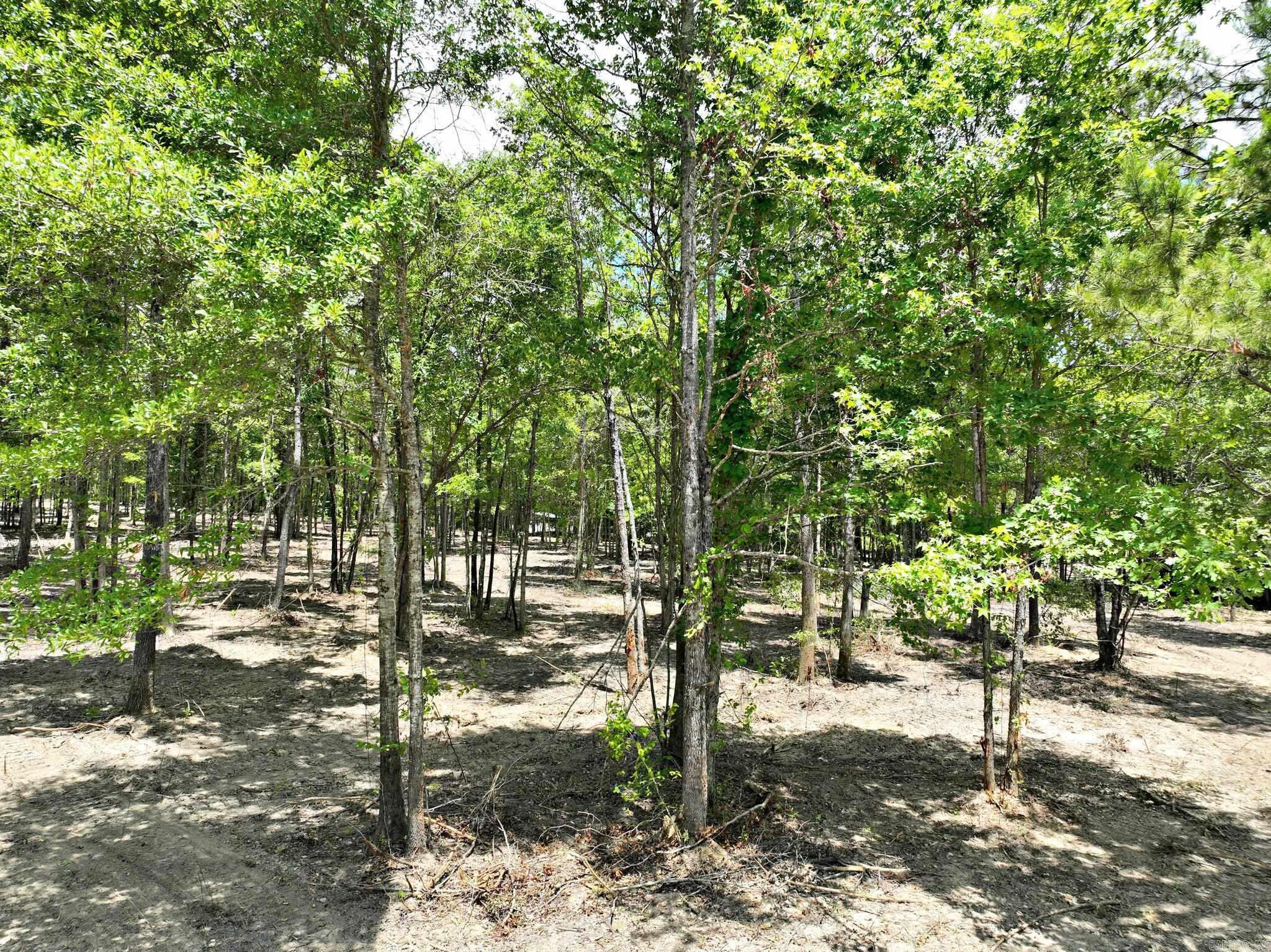 Alder Springs-Rocky - Land