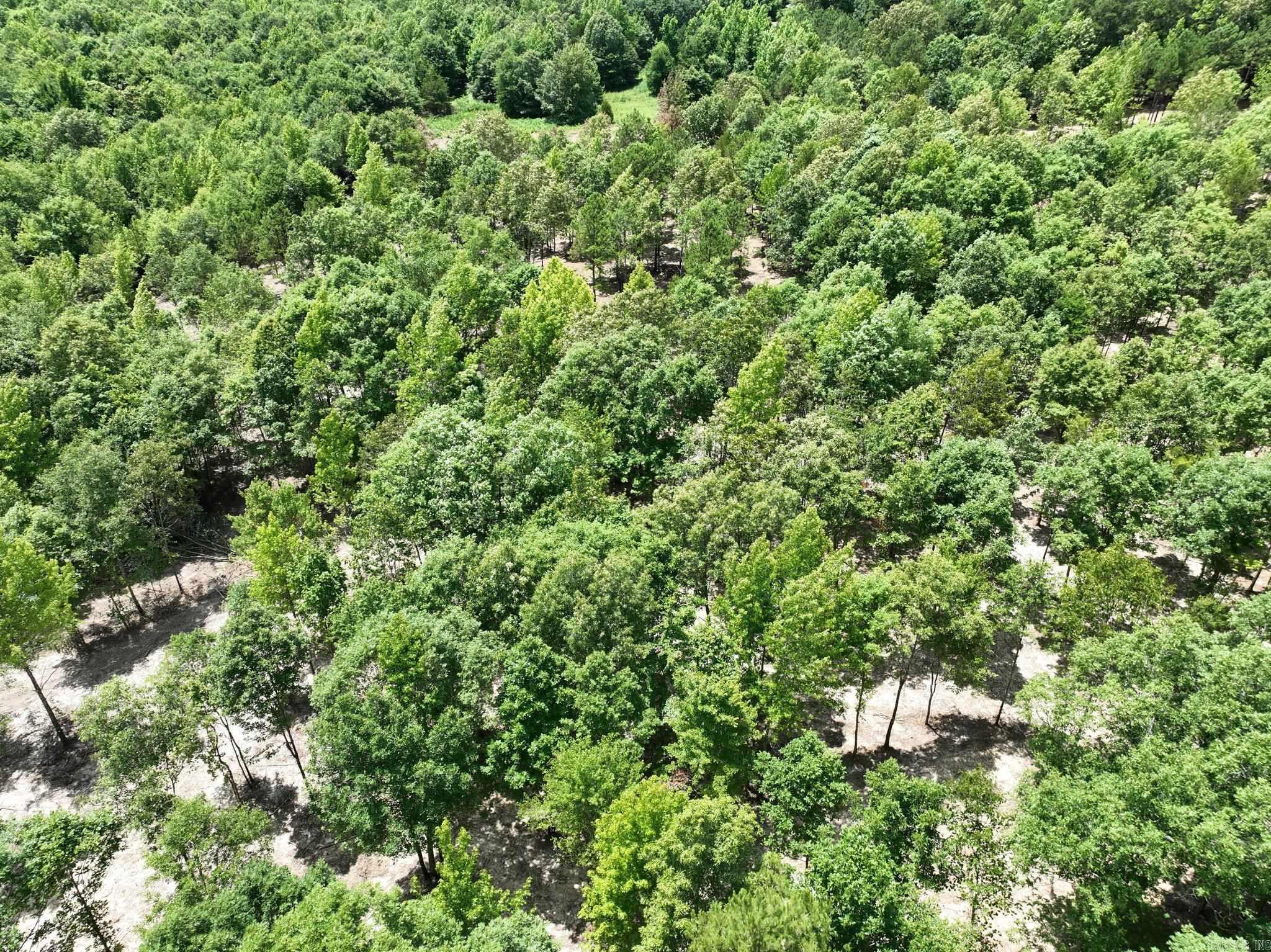 Alder Springs-Rocky - Land