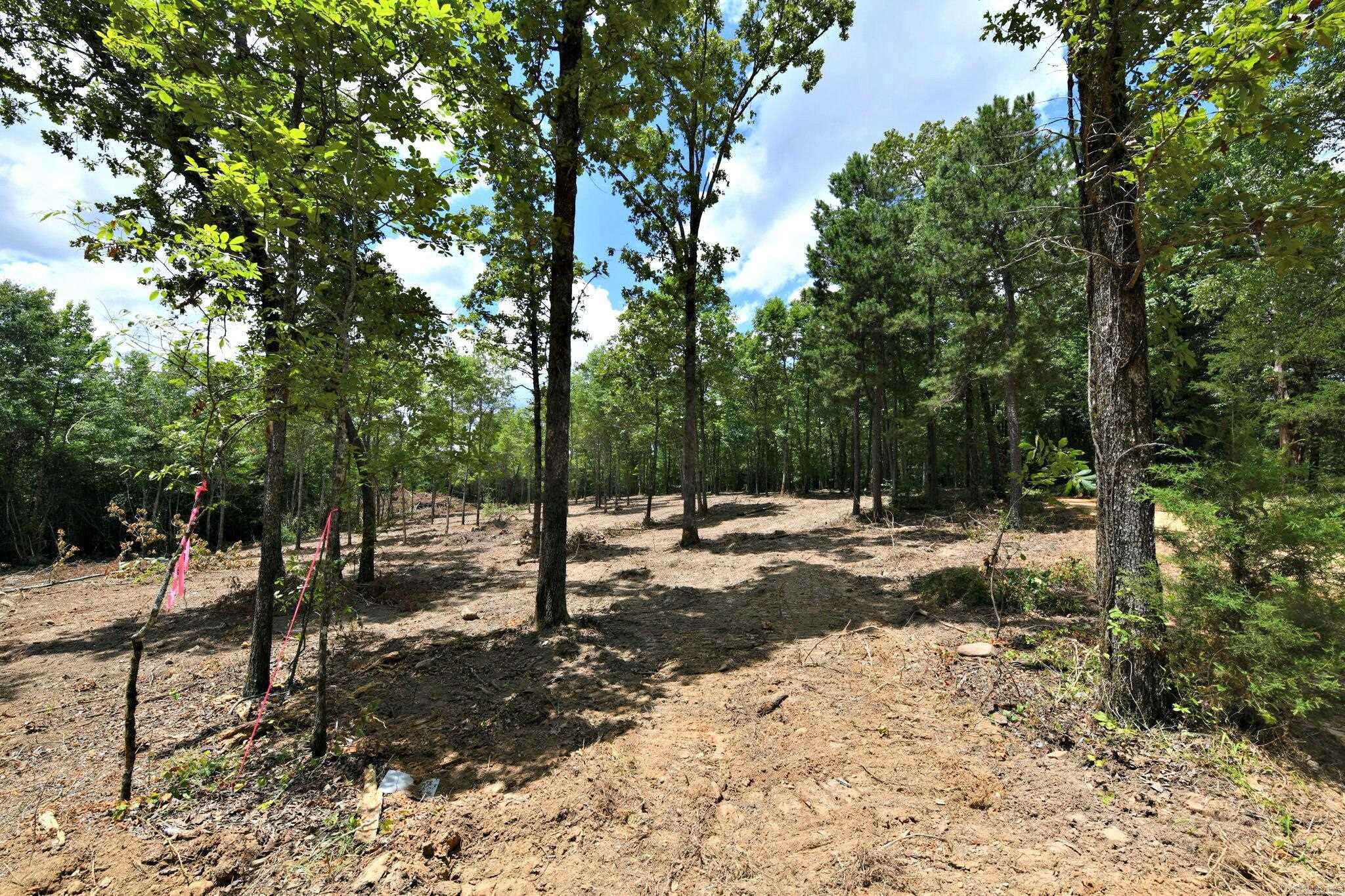 Alder Springs-Rocky - Land