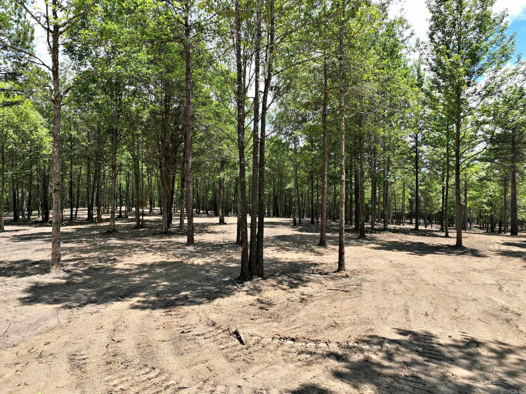 Alder Springs-Rocky - Land