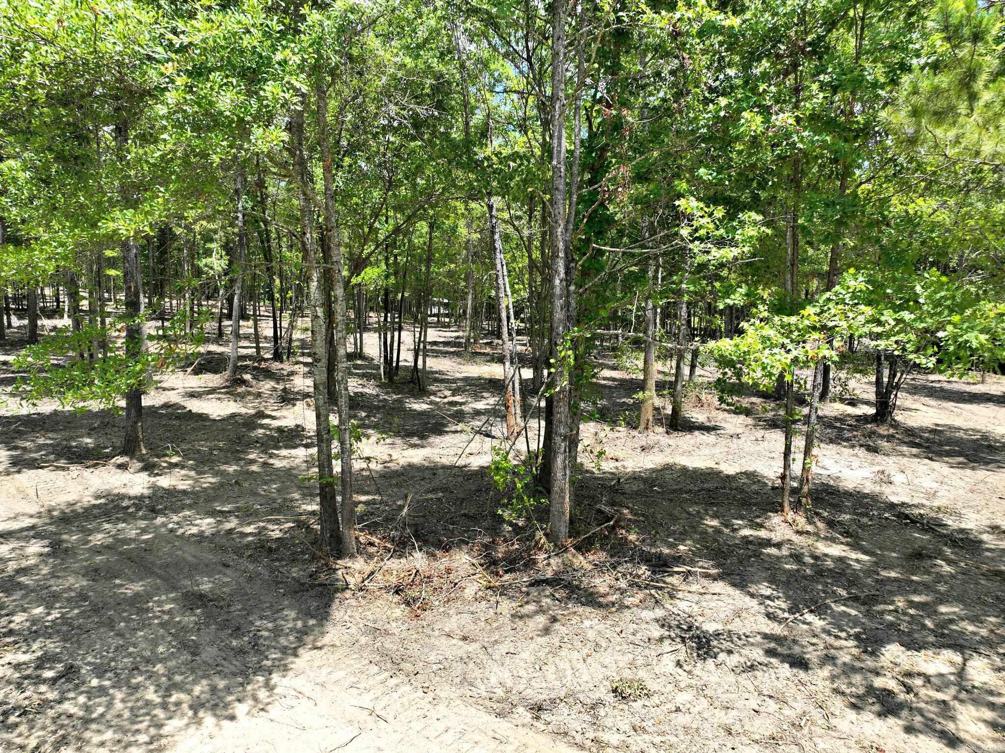 Alder Springs-Rocky - Land