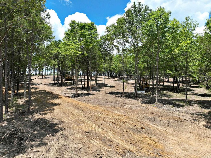 Whether you’re looking to build a home, a vacation retreat, or an investment property, this 10-acre lot offers endless possibilities. The natural landscape and mountain views make it a rare find and a true gem in the real estate market. Nestled among scattered hardwoods, this property offers a serene and picturesque landscape, ideal for those seeking tranquility and natural beauty. Multiple great spots to build, you can design and construct your ideal home or retreat. Discover the perfect blend of nature and opportunity with this stunning parcel located in a beautiful parklike setting. Power is readily available, making it easier to start your building project.