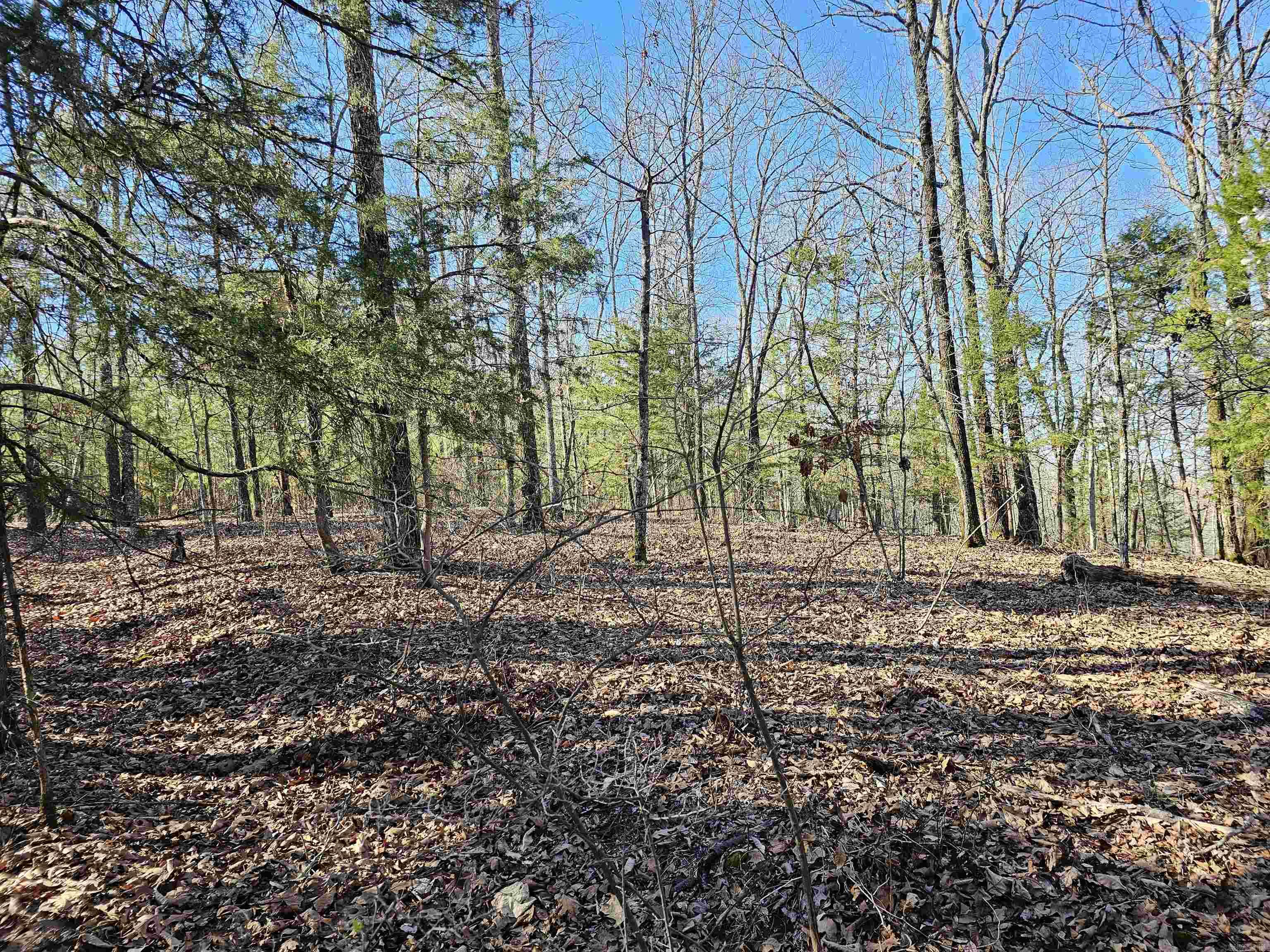 Metes & Bounds - Land