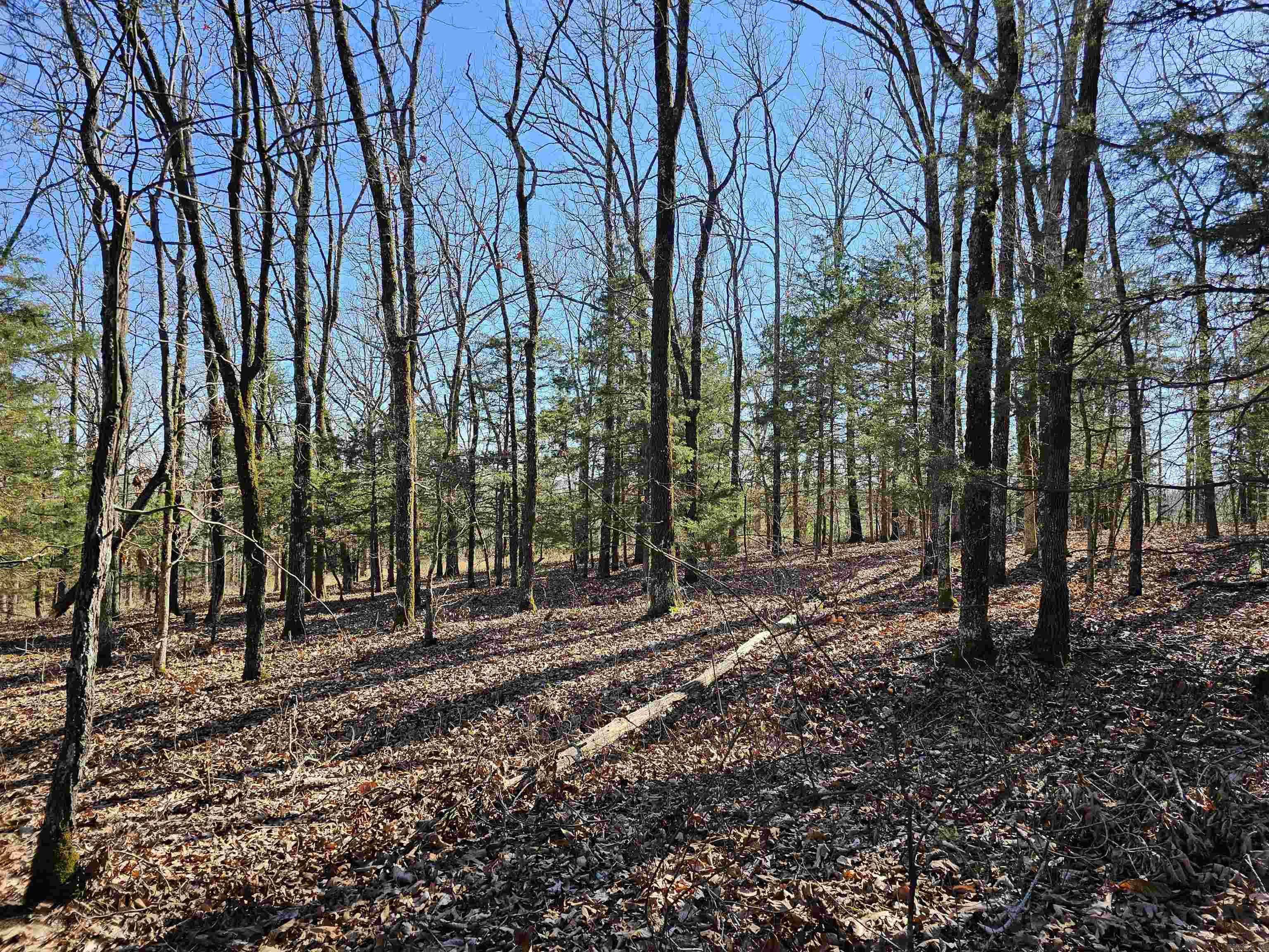 Metes & Bounds - Land