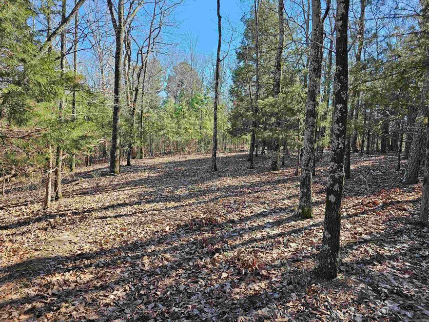 Beautiful 40 Acre tract.  Great place to build hunting cabin, beautiful retirement home, or weekend getaway. Beautiful views. You can see for miles on back side of property.  Very peaceful and serene. Lots of wildlife.