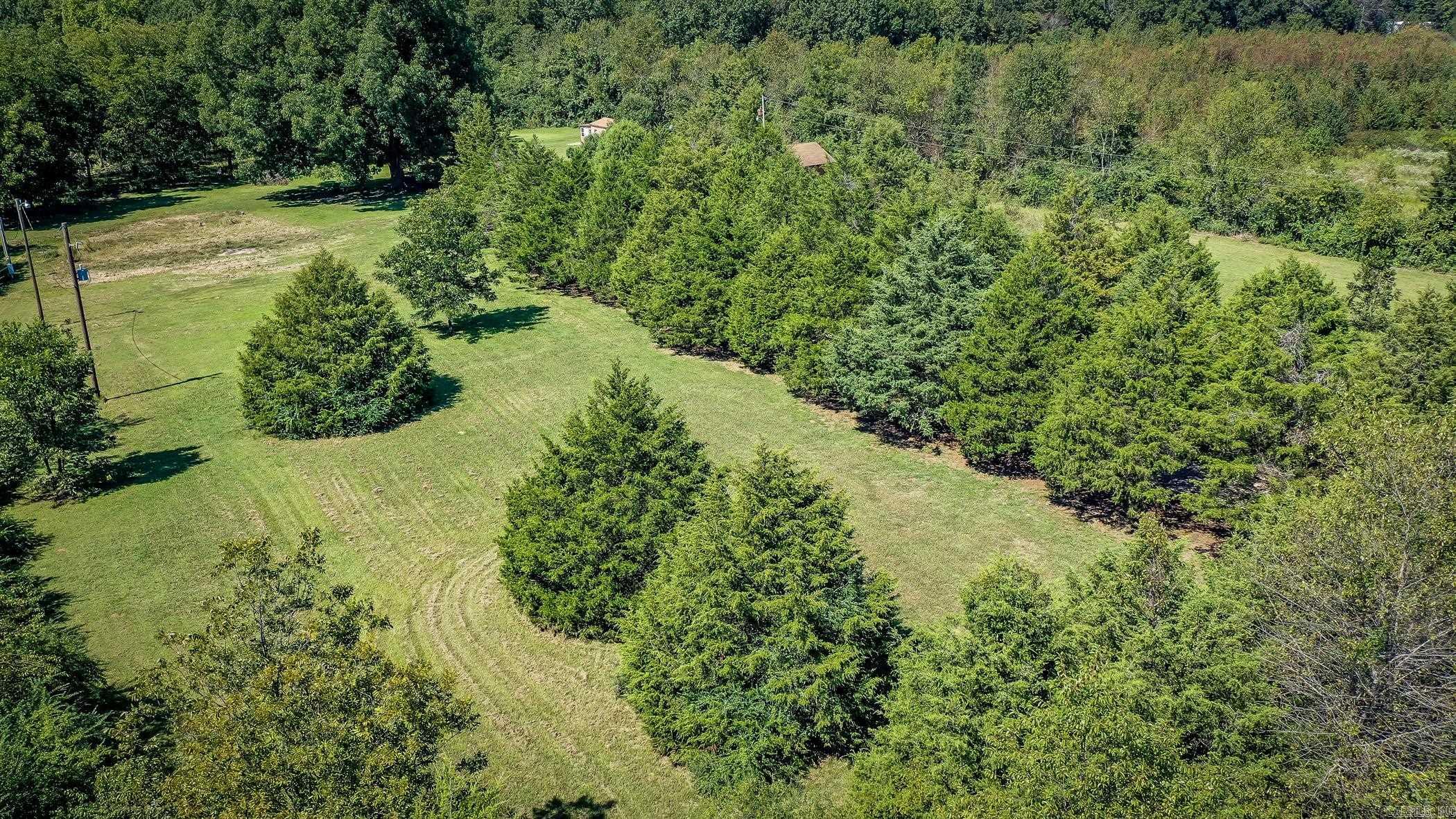 Joyner Survey - Residential