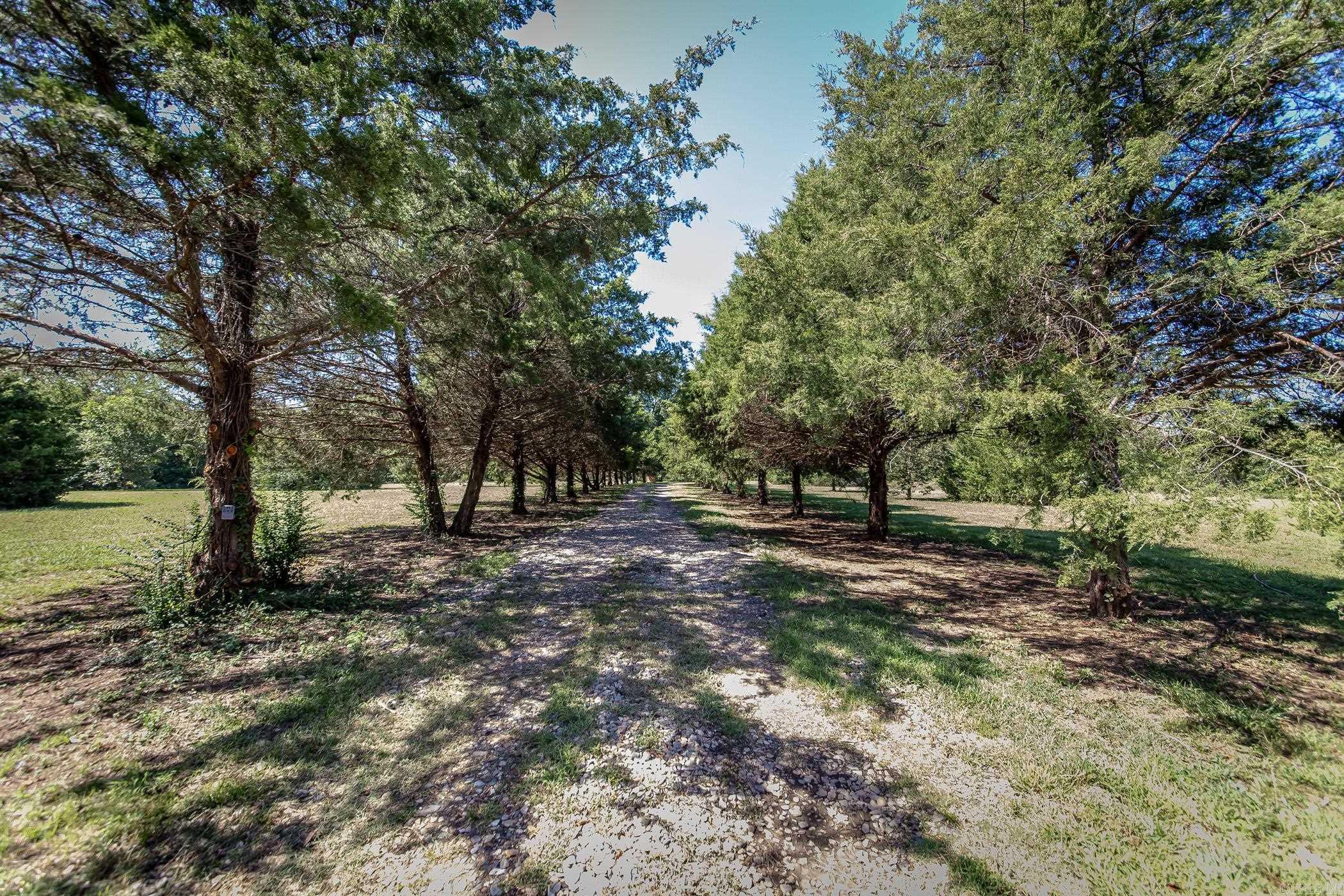 Joyner Survey - Residential