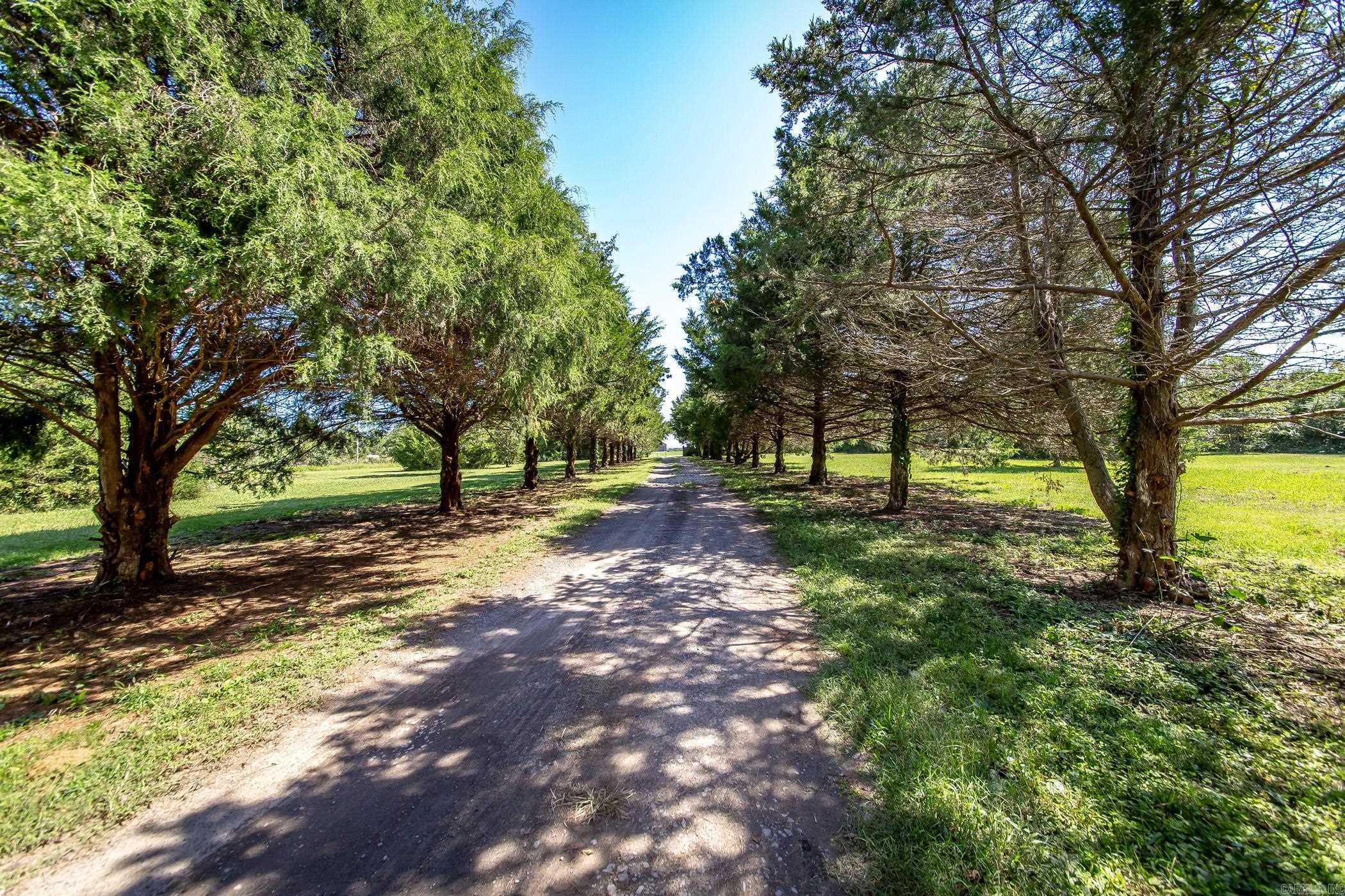 Joyner Survey - Residential