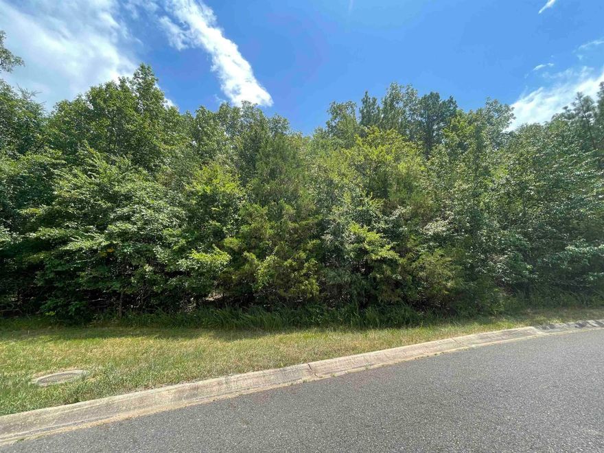 The Hills Subdivision: Nestled in the heart of Lakeside school district, this beautiful lot in The Hills Subdivision offers the perfect opportunity to build your dream home. Lot 37 offers value and potential in a nice neighborhood. With paved roads, utilities nearby, and close proximity to schools, shopping and recreation. Whether you're a homeowner or builder, don't miss your chance to own a piece of this inviting subdivision. Lots 9, 17, & 36 also available.