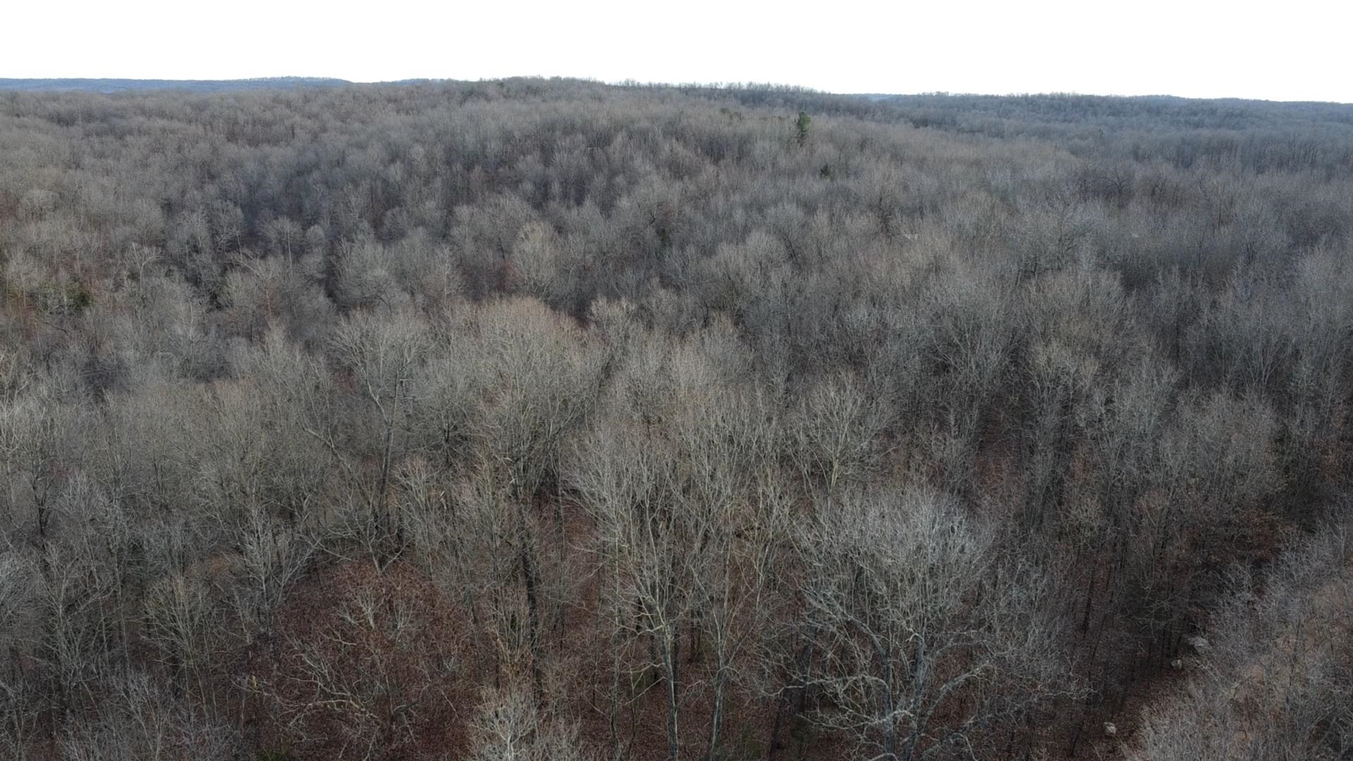 Build Your Dream on This Beautiful Lawrence County Land! Discover the perfect canvas for your dreams on this picturesque piece of land in Lawrence County, AR. Whether you're looking to build a home, start a homestead, or make a smart land investment, this property offers endless potential. Scenic & Serene – Enjoy the peaceful beauty of Arkansas with mature trees, open spaces, and a tranquil setting. Prime Location – Conveniently situated with tons of opportunity Limitless Possibilities – Perfect for a custom home, mobile home, recreational retreat, or long-term investment. Opportunities like this don’t last long! Contact us today to learn more about making this land yours.