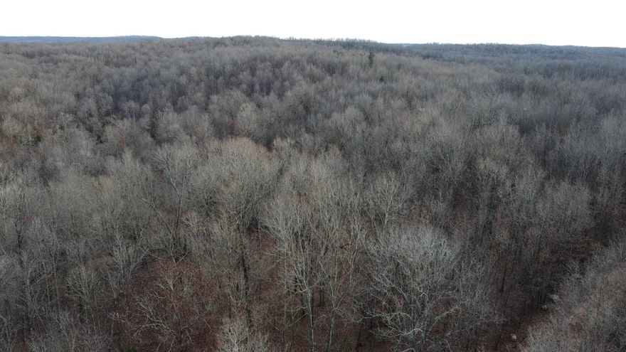 Build Your Dream on This Beautiful Lawrence County Land!  Discover the perfect canvas for your dreams on this picturesque piece of land in Lawrence County, AR. Whether you're looking to build a home, start a homestead, or make a smart land investment, this property offers endless potential.  Scenic & Serene – Enjoy the peaceful beauty of Arkansas with mature trees, open spaces, and a tranquil setting. Prime Location – Conveniently situated with tons of opportunity  Limitless Possibilities – Perfect for a custom home, mobile home, recreational retreat, or long-term investment.  Opportunities like this don’t last long! Contact us today to learn more about making this land yours.