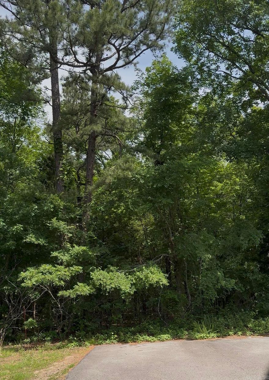 Excellent location attached to Cresthaven Neighborhood, with its own entrance at Candor Street. Great development potential for investors/developers, or envision your very own single family dream home right here on 20 private acres. Only 3.6 miles to Conway Walmart and Restaurants, less than that to the i40 interstate and only 34 miles to Little Rock airport. Pending municipal approval. This 20 acres is part of the 40 acre plus house listing for sale at 2995 Cresthaven Street currently in Conway, but sellers are willing to sell 20 acres separately and then sell the house with only 20 acres to be more affordable.  This location cannot be beat, call for more information/video.