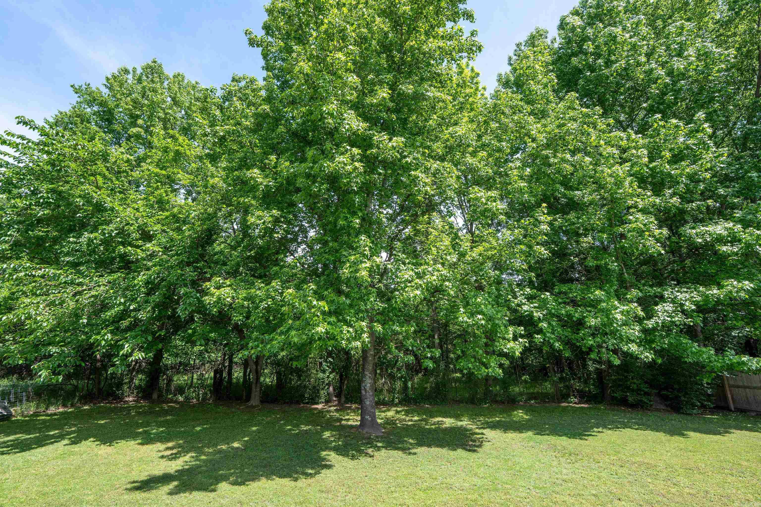 Skyline Meadows - Residential