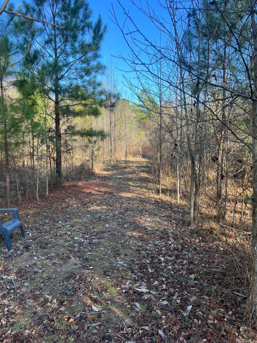 This beautiful 10 acres is ready for your dream home be it manufactured, stick built or a tiny home.  It is located great area with easy access to Arkadelphia, Hot Springs, Malvern and Interstate 30.  The property has no restrictions. Utiities are at the road. Property recently surveyed.  Come see today!