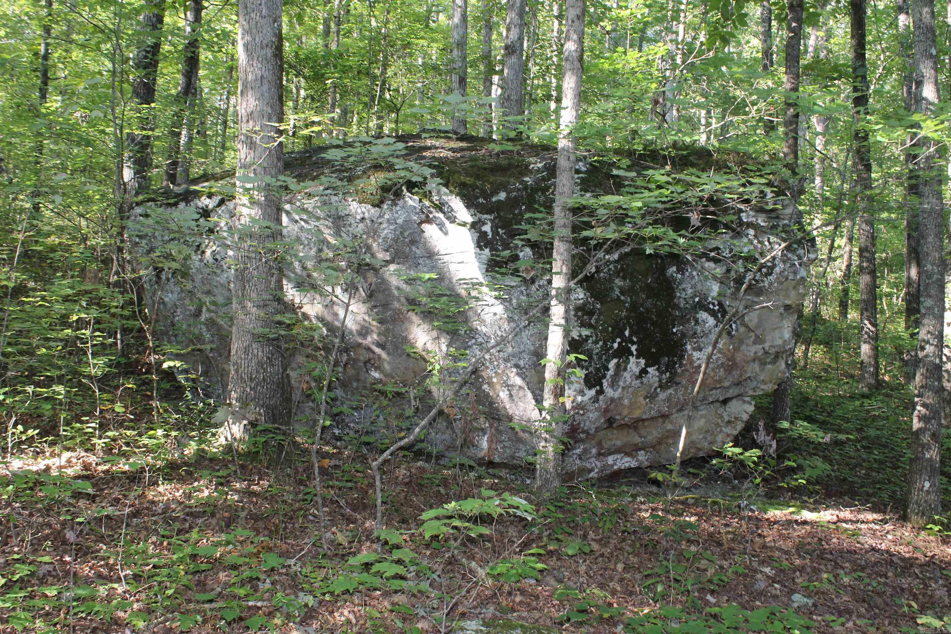 Metes & Bounds - Land