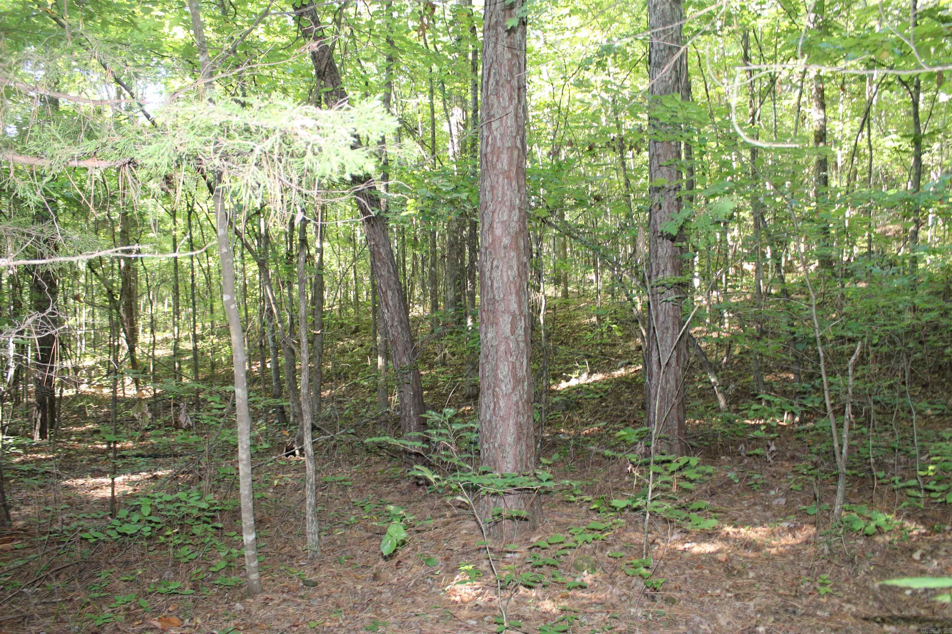 Metes & Bounds - Land