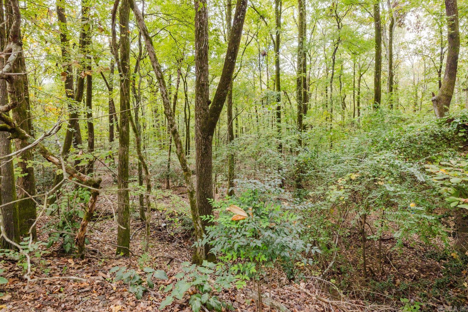 Hot Springs Unplatted - Residential