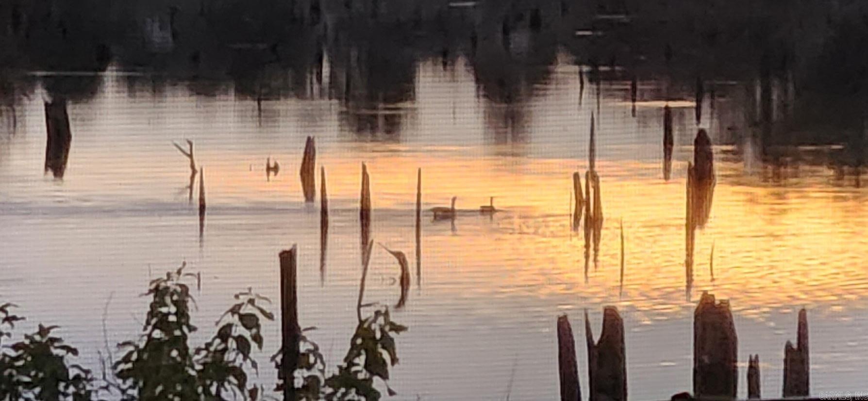 George Subshoreline - Residential