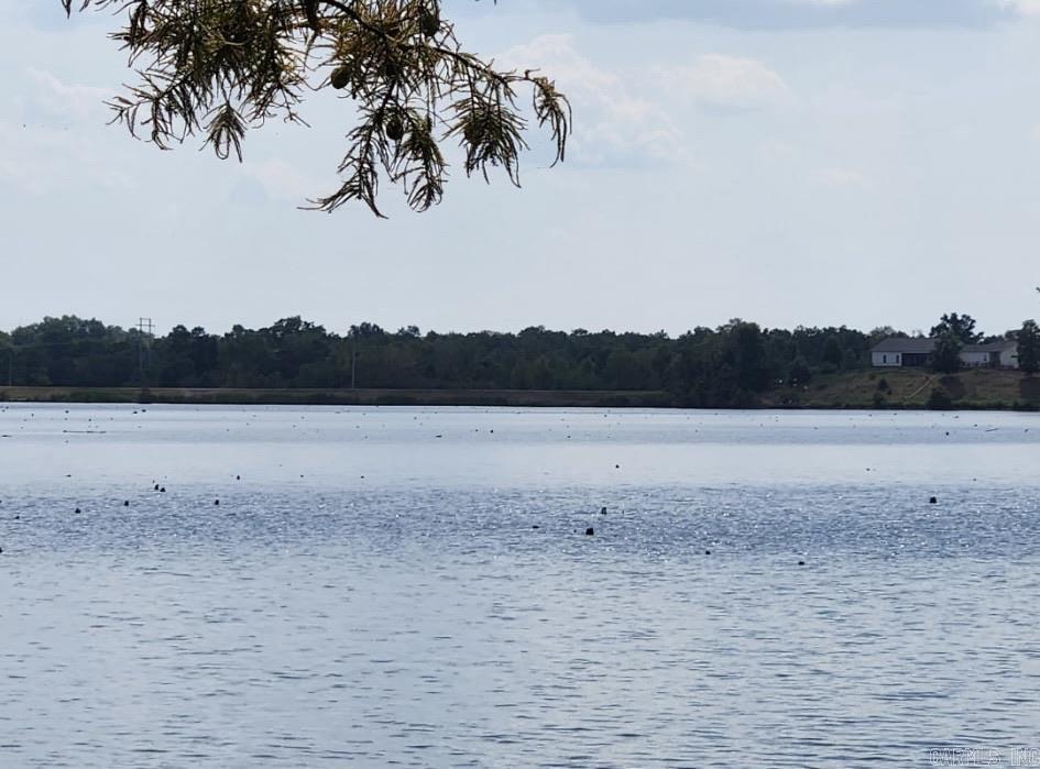 George Subshoreline - Residential