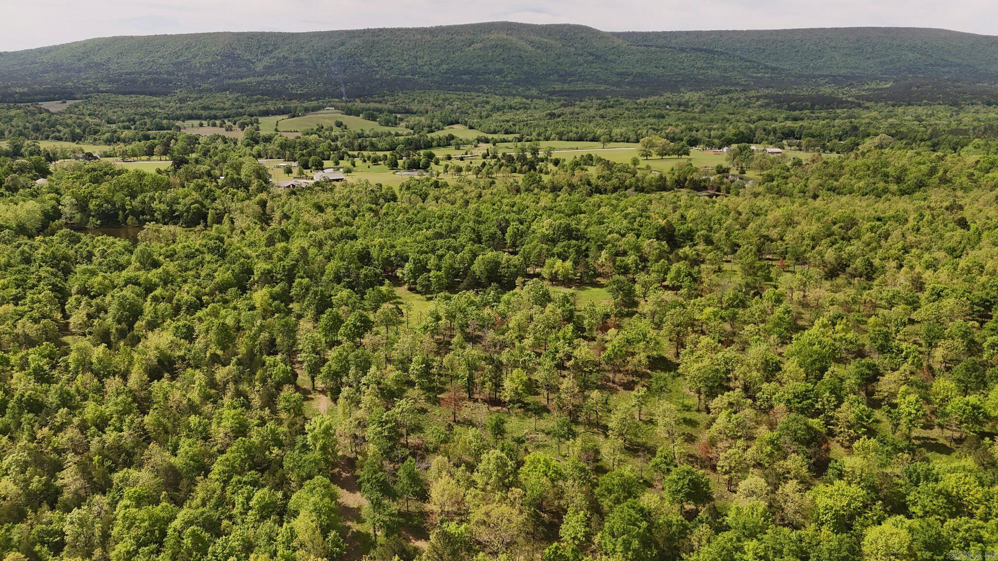 MOUNTAIN FORK (NO PARCELS) - Residential