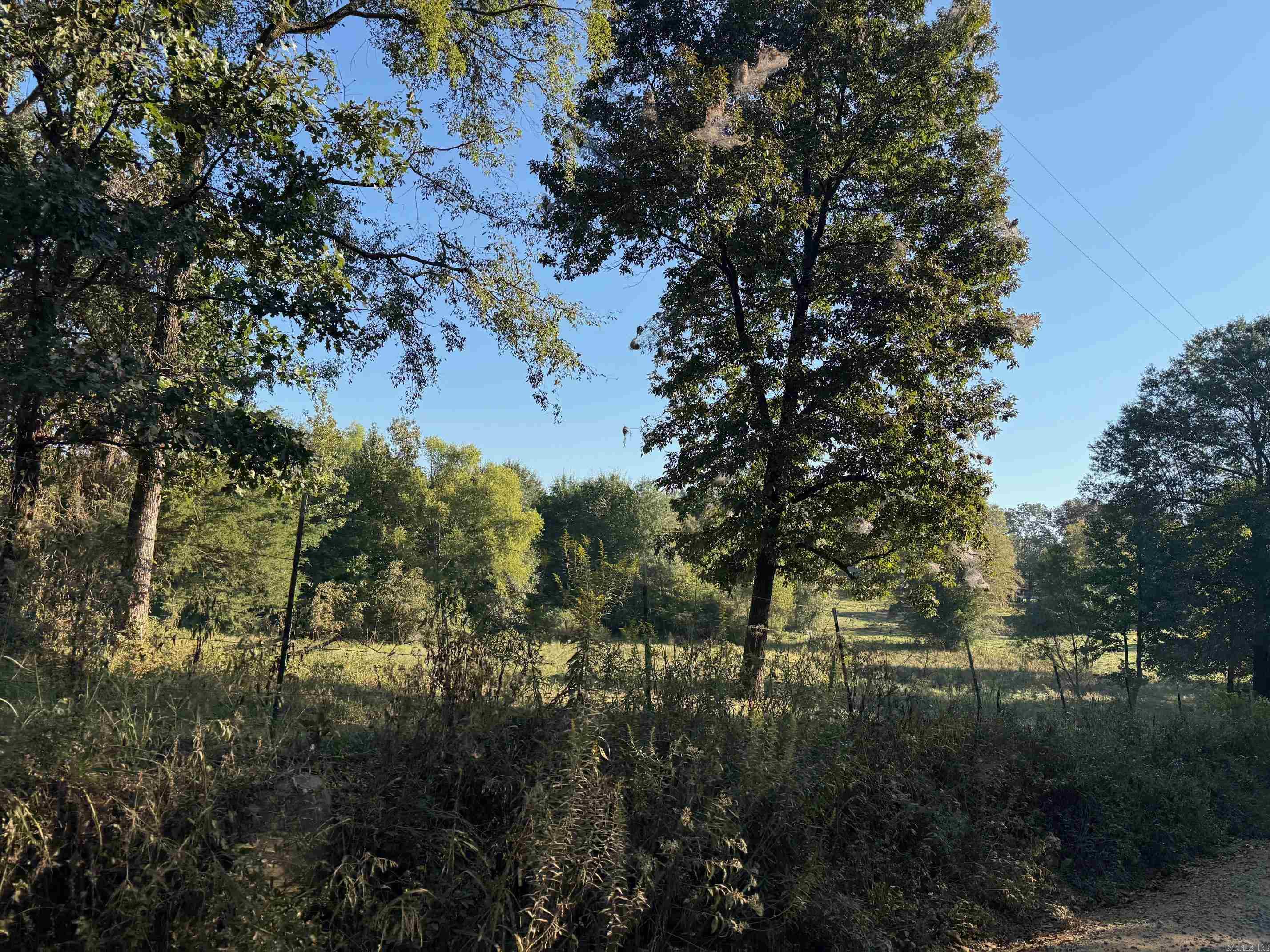 Nice Rural property just off of the pavement with a mix of woods and pasture. Property is totally fenced and currently has cattle on it. The property fronts along the County Road for great access. This is the perfect property for the "Hobby Farmer" or Homesteader! Electric and Rural Water are available. This property is just minutes away from the Ouachita National Forest with it's abundance of recreational opportunities. This property is also close to the Cossatot River High School.