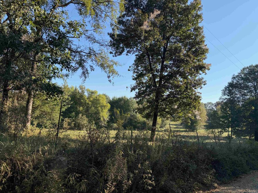 Nice Rural property just off of the pavement with a mix of woods and pasture.  Property is totally fenced and currently has cattle on it.  The property fronts along the County Road for great access.  This is the perfect property for the "Hobby Farmer" or Homesteader!  Electric and Rural Water are available.  This property is just minutes away from the Ouachita National Forest with it's abundance of recreational opportunities.  This property is also close to the Cossatot River High School.