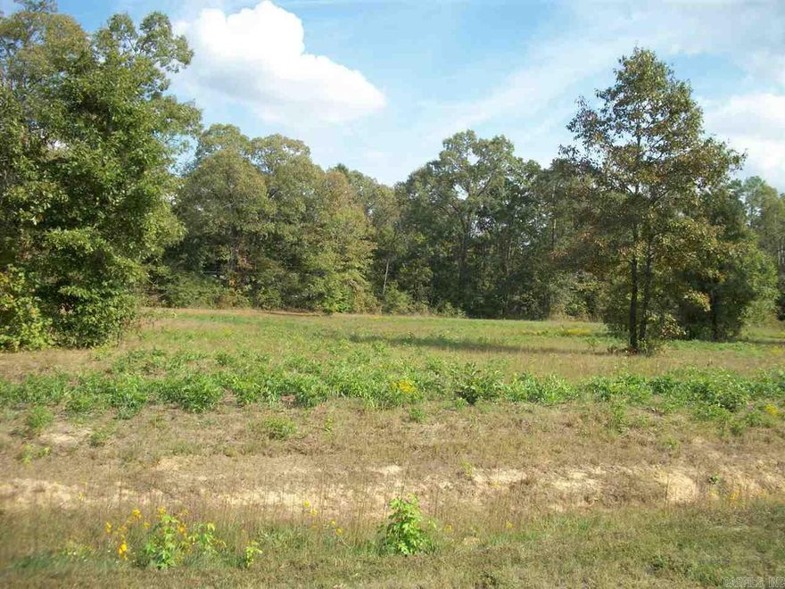 **Level Cul-de-sac lot in upscale subdivision**Kid friendly**Bring you own builder or we can provide builder**all plans to be approved by Architectural Committee**Bill of Assurance**Water & Electricity at street**Most lots will require minimal lot prep**Wonderful rural subdivision but only 20 minutes to downtown Little Rock**
