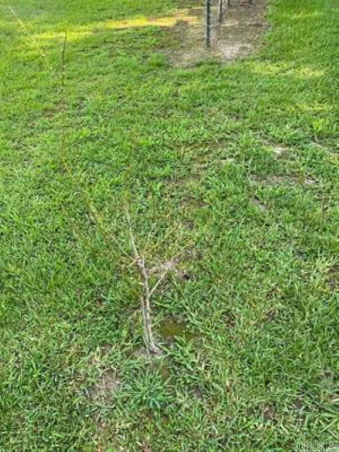 ANDERSON ADDITION - Land