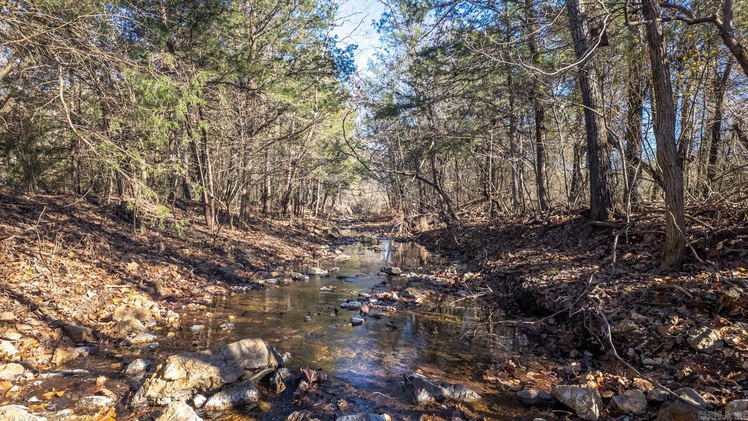 TAYLOR FOSTER BRANCH - Land
